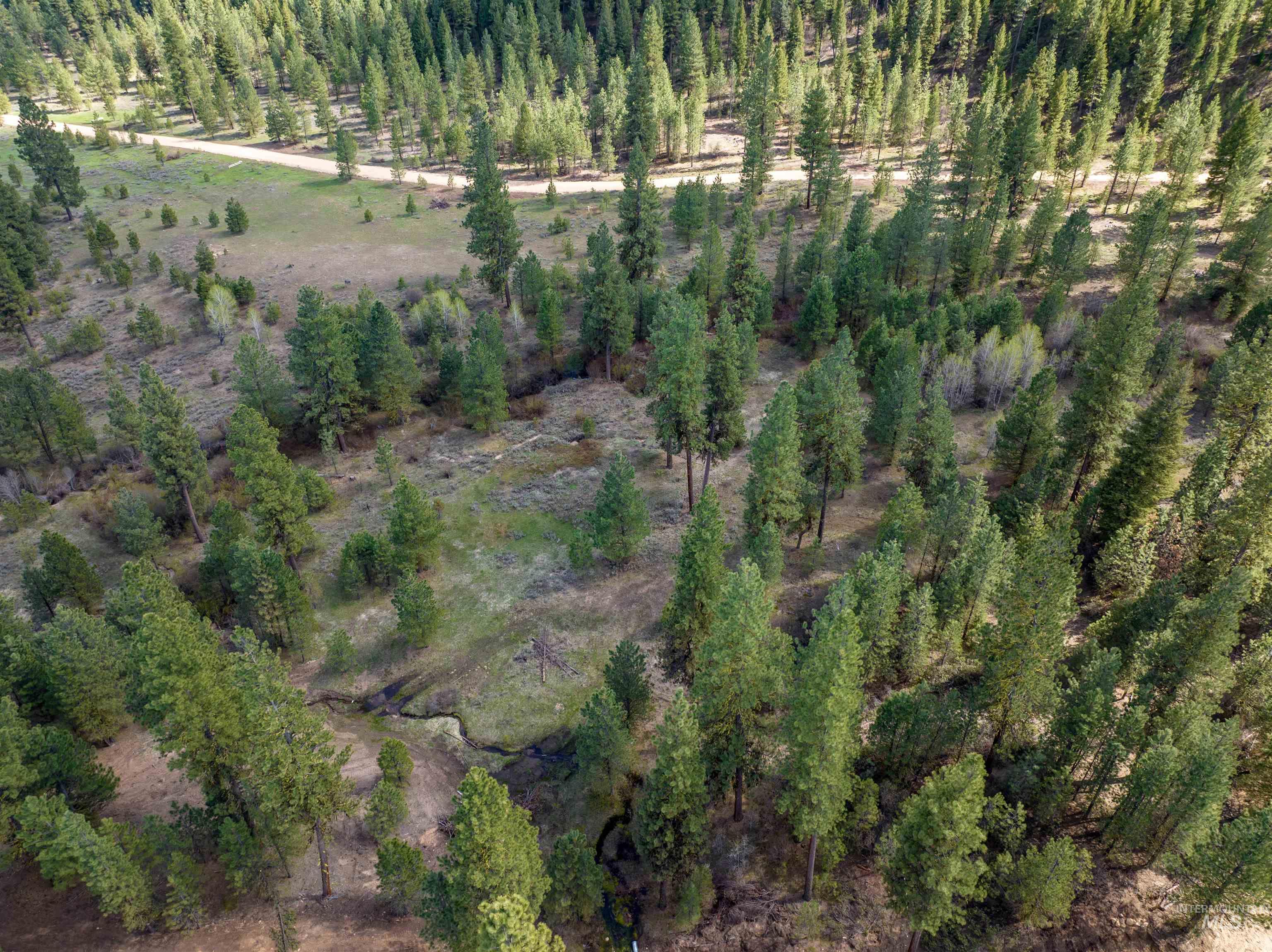 Lot 31 Trail Creek Ct, Placerville, Idaho 83666, Land For Sale, Price $195,000,MLS 99003716