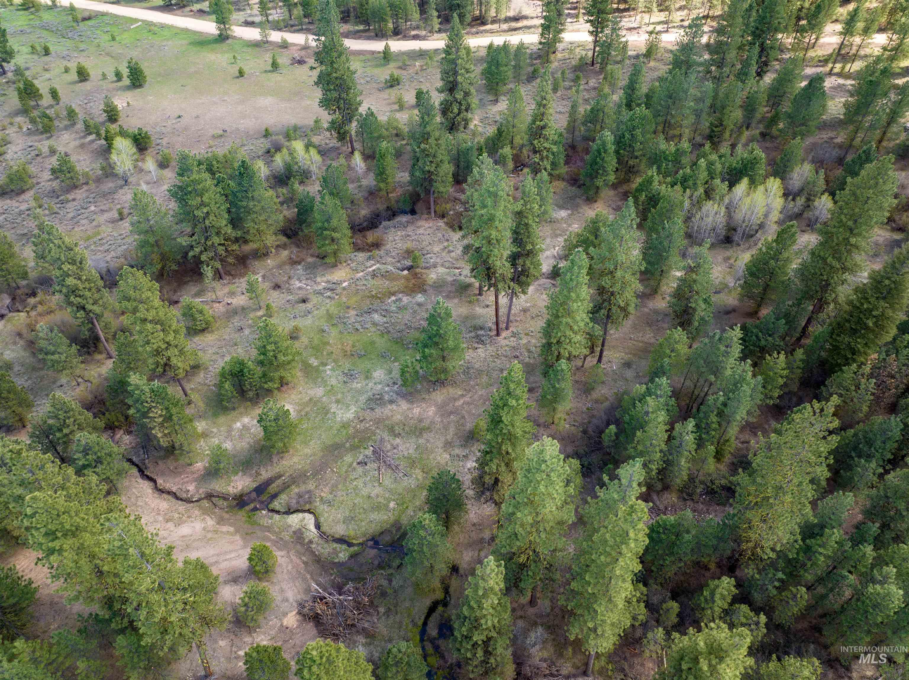 Lot 31 Trail Creek Ct, Placerville, Idaho 83666, Land For Sale, Price $195,000,MLS 99003716
