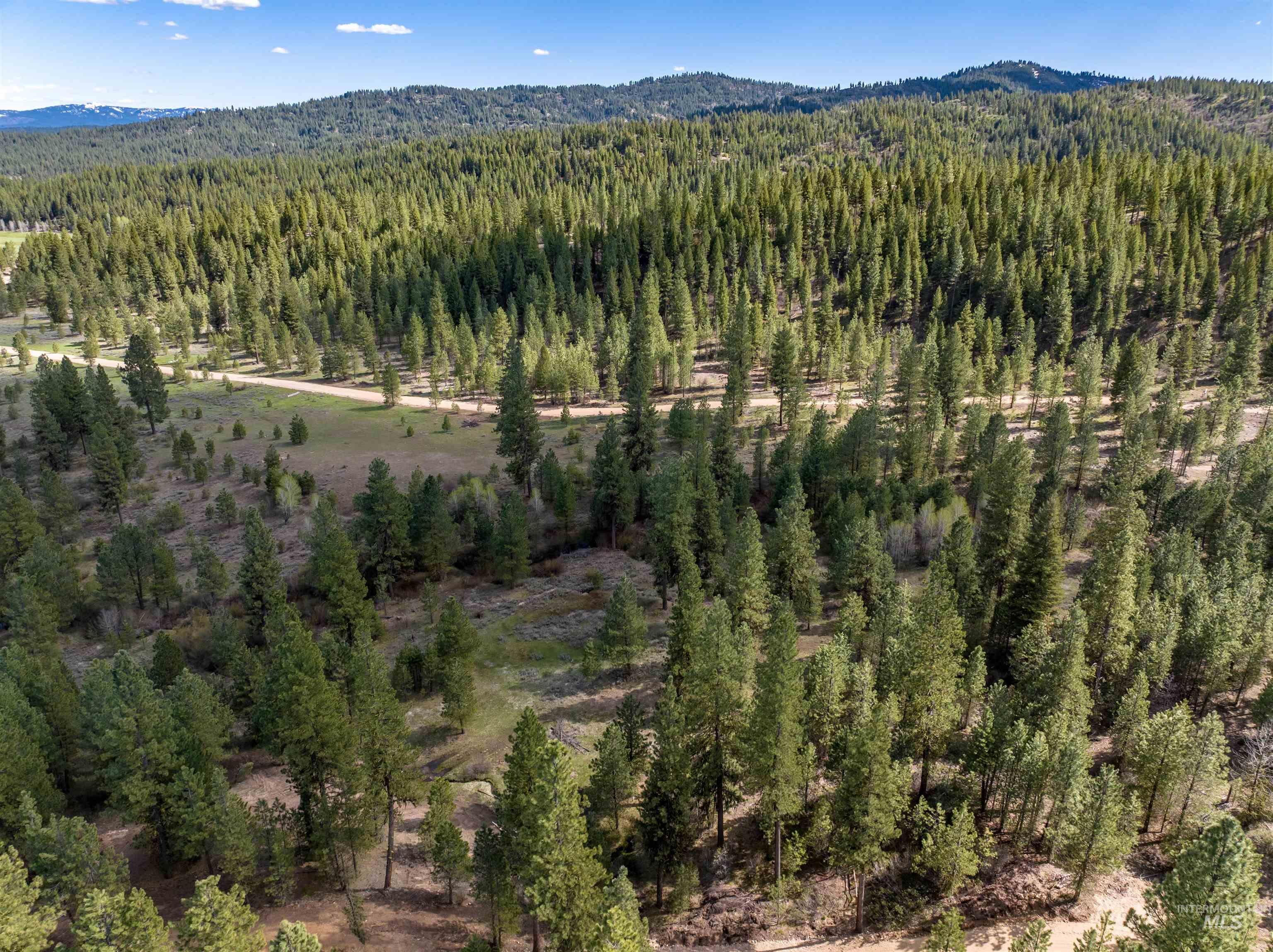 Lot 31 Trail Creek Ct, Placerville, Idaho 83666, Land For Sale, Price $195,000,MLS 99003716