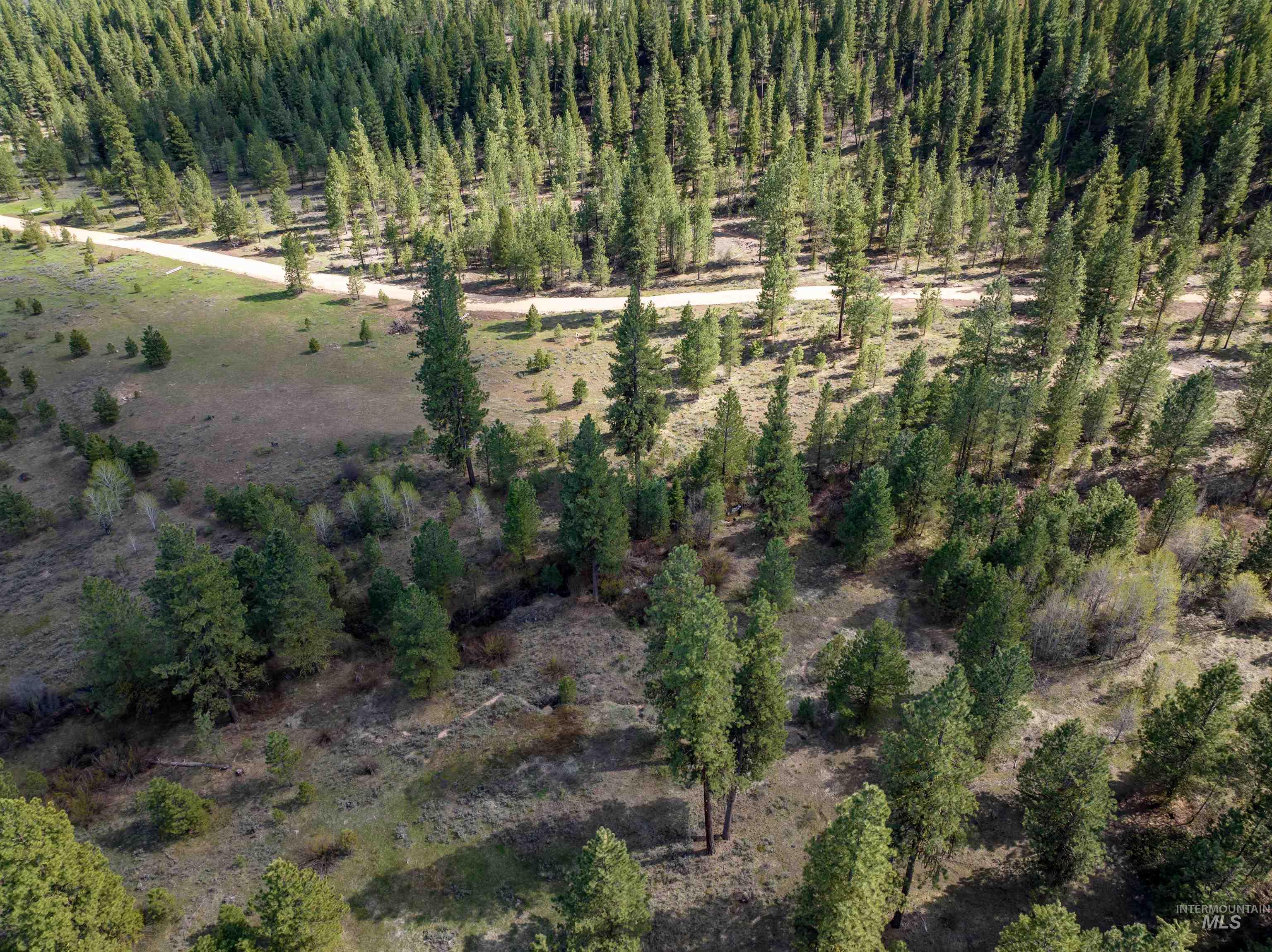 Lot 31 Trail Creek Ct, Placerville, Idaho 83666, Land For Sale, Price $195,000,MLS 99003716