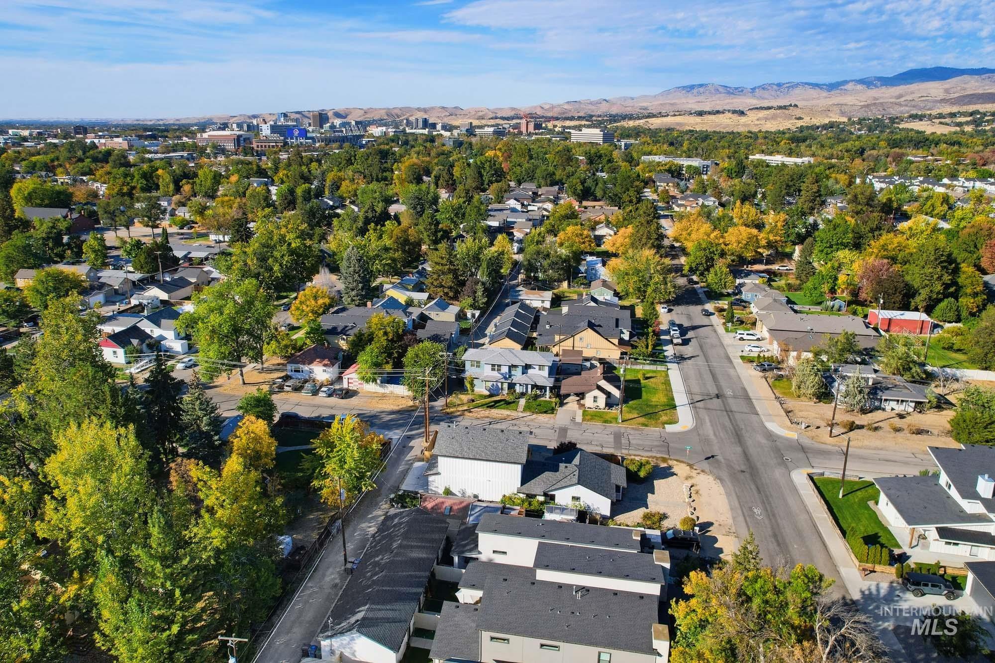 1701 S Division Ave, Boise, Idaho 83706, 2 Bedrooms, 1 Bathroom, Residential For Sale, Price $850,000, 99003750