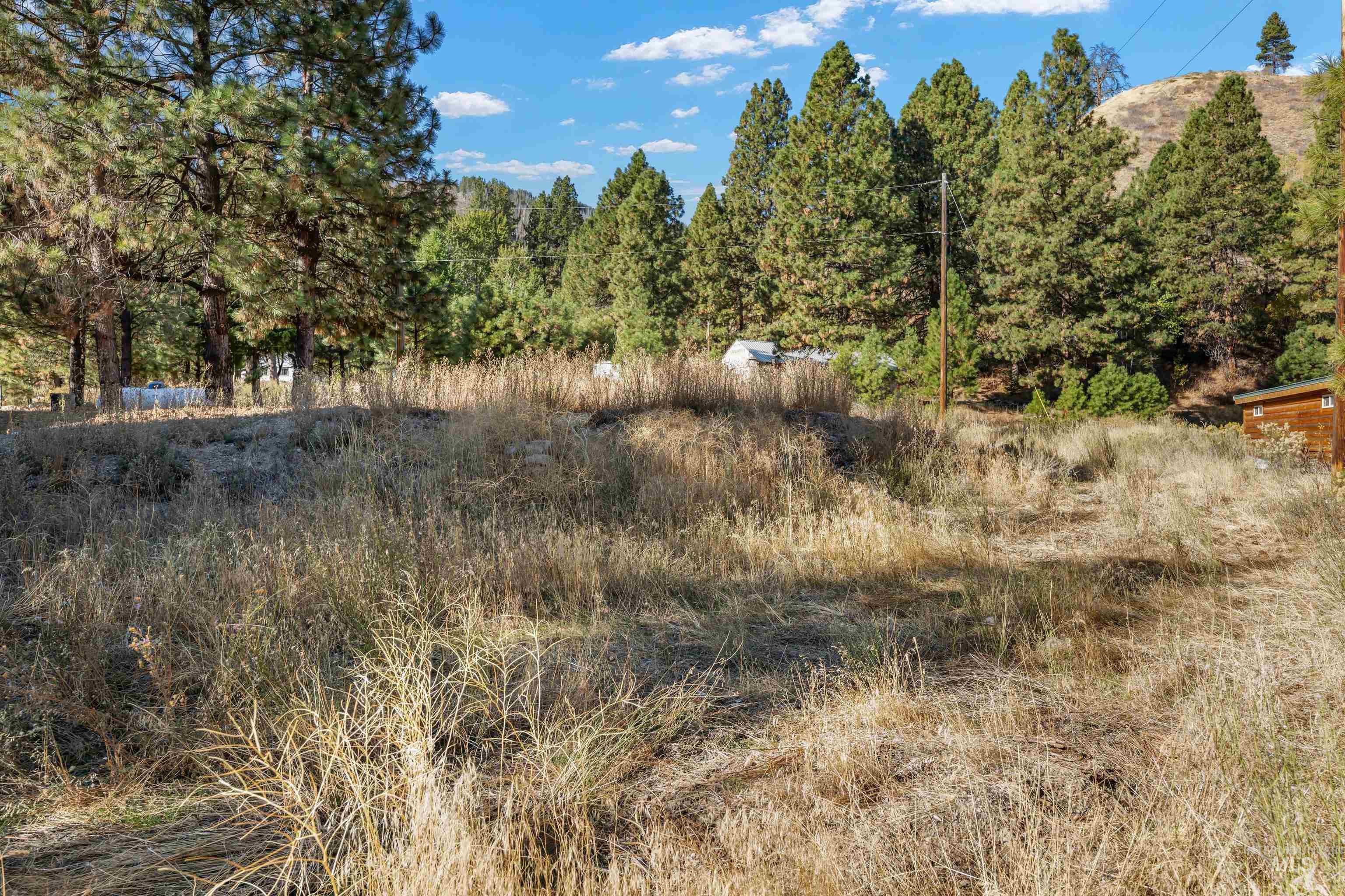 TBD N Pine-Featherville RD, Pine, Idaho 83647, Land For Sale, Price $187,000,MLS 99003813