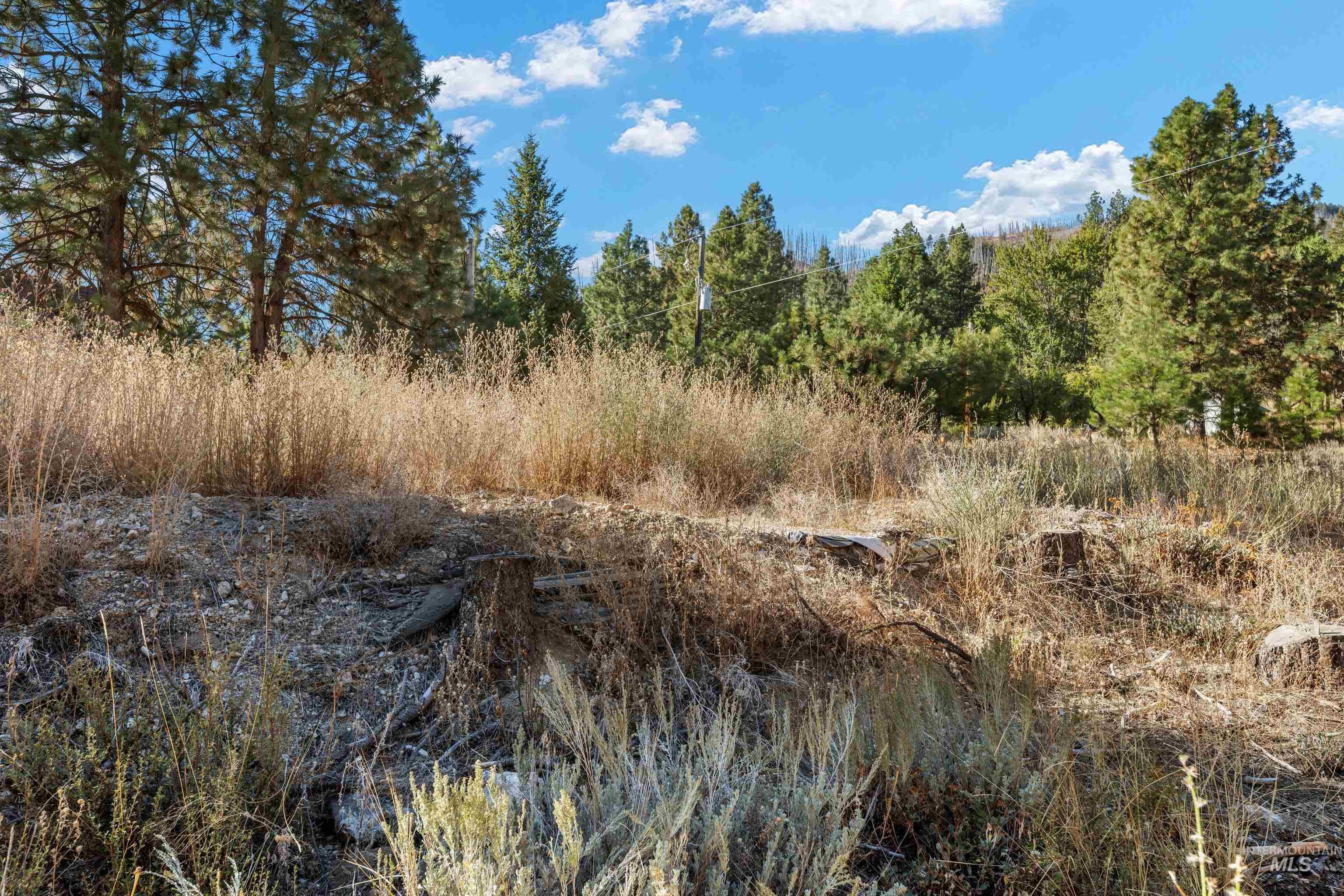 TBD N Pine-Featherville RD, Pine, Idaho 83647, Land For Sale, Price $187,000,MLS 99003813