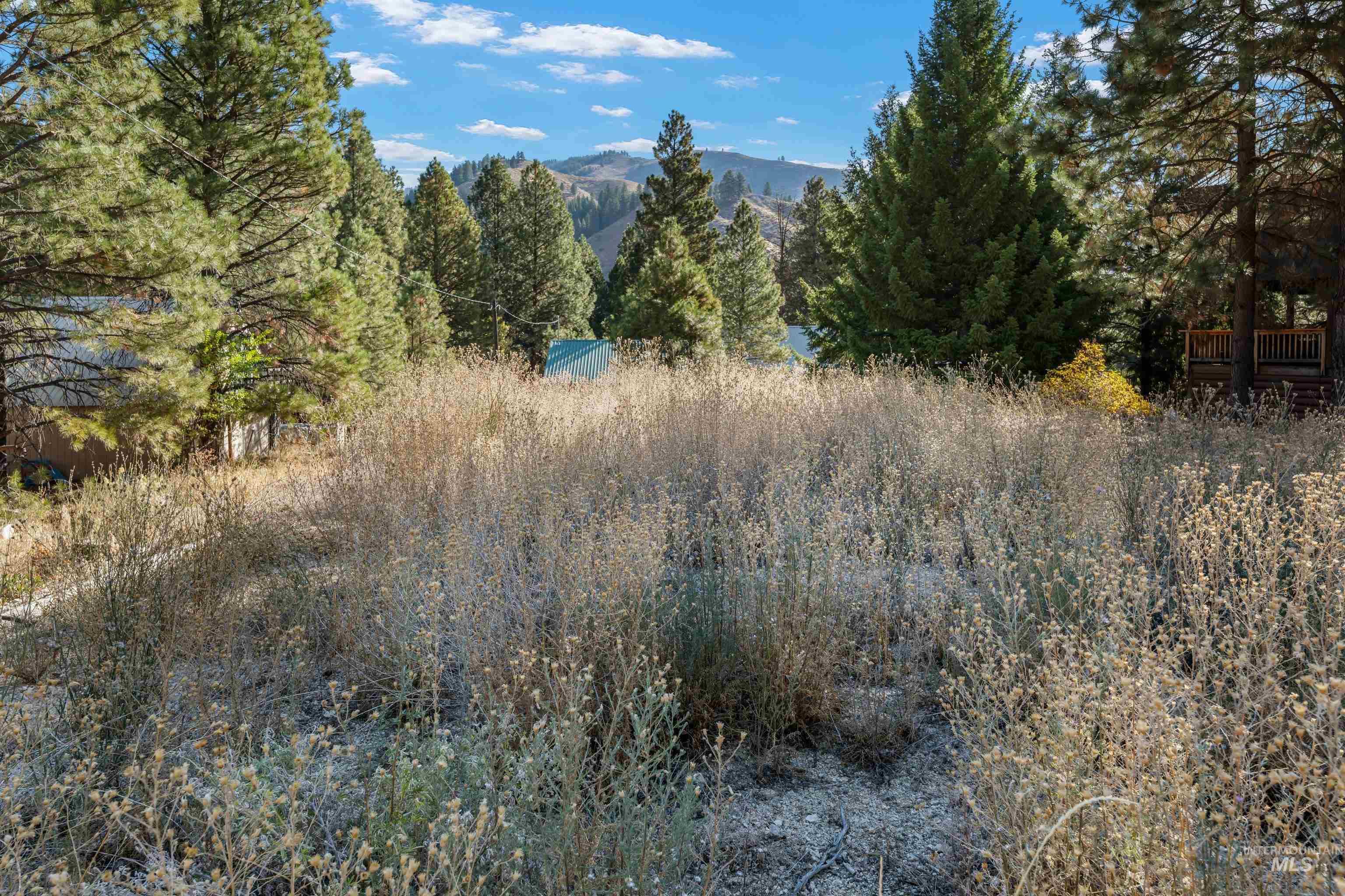 TBD N Pine-Featherville RD, Pine, Idaho 83647, Land For Sale, Price $187,000,MLS 99003813