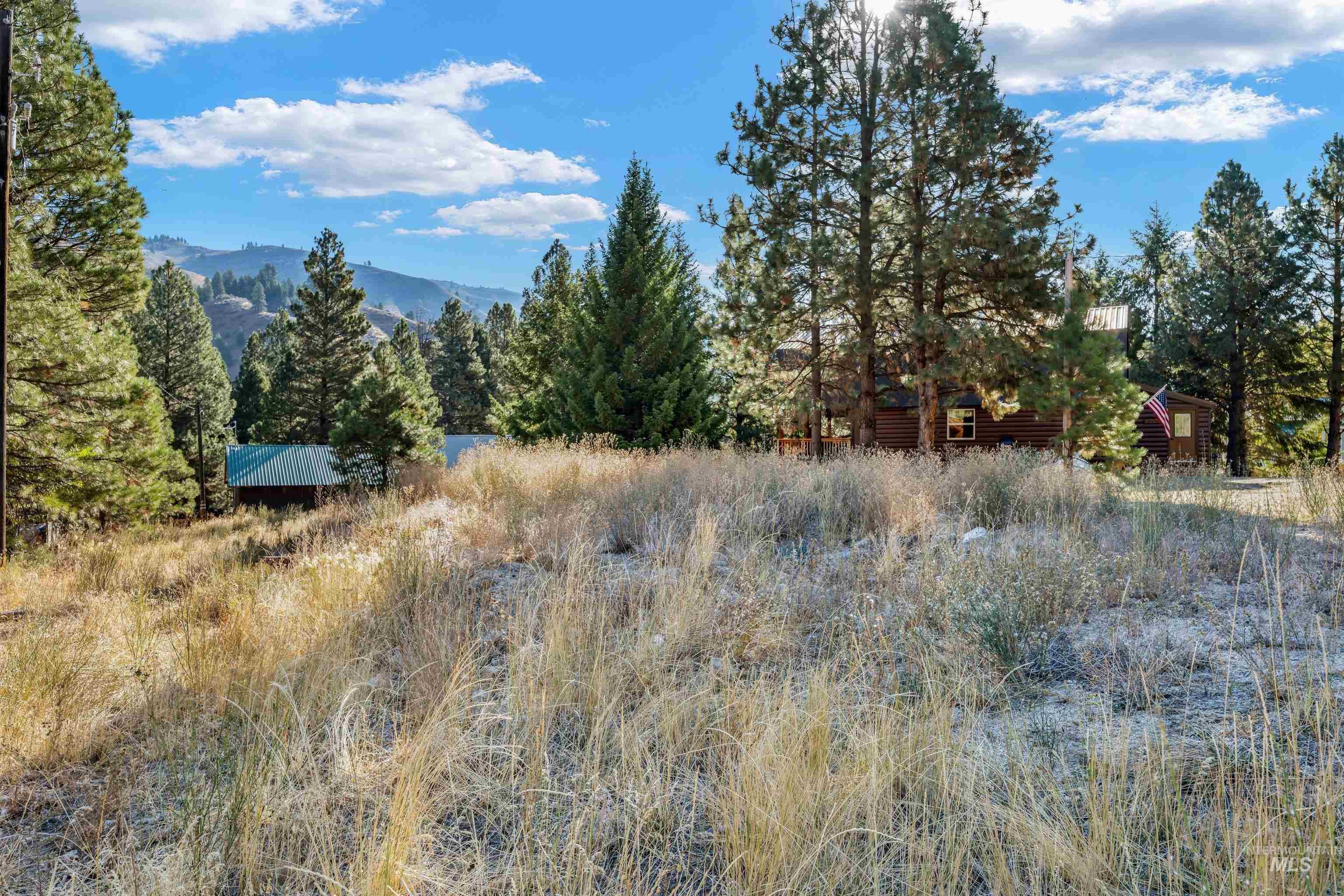 TBD N Pine-Featherville RD, Pine, Idaho 83647, Land For Sale, Price $187,000,MLS 99003813