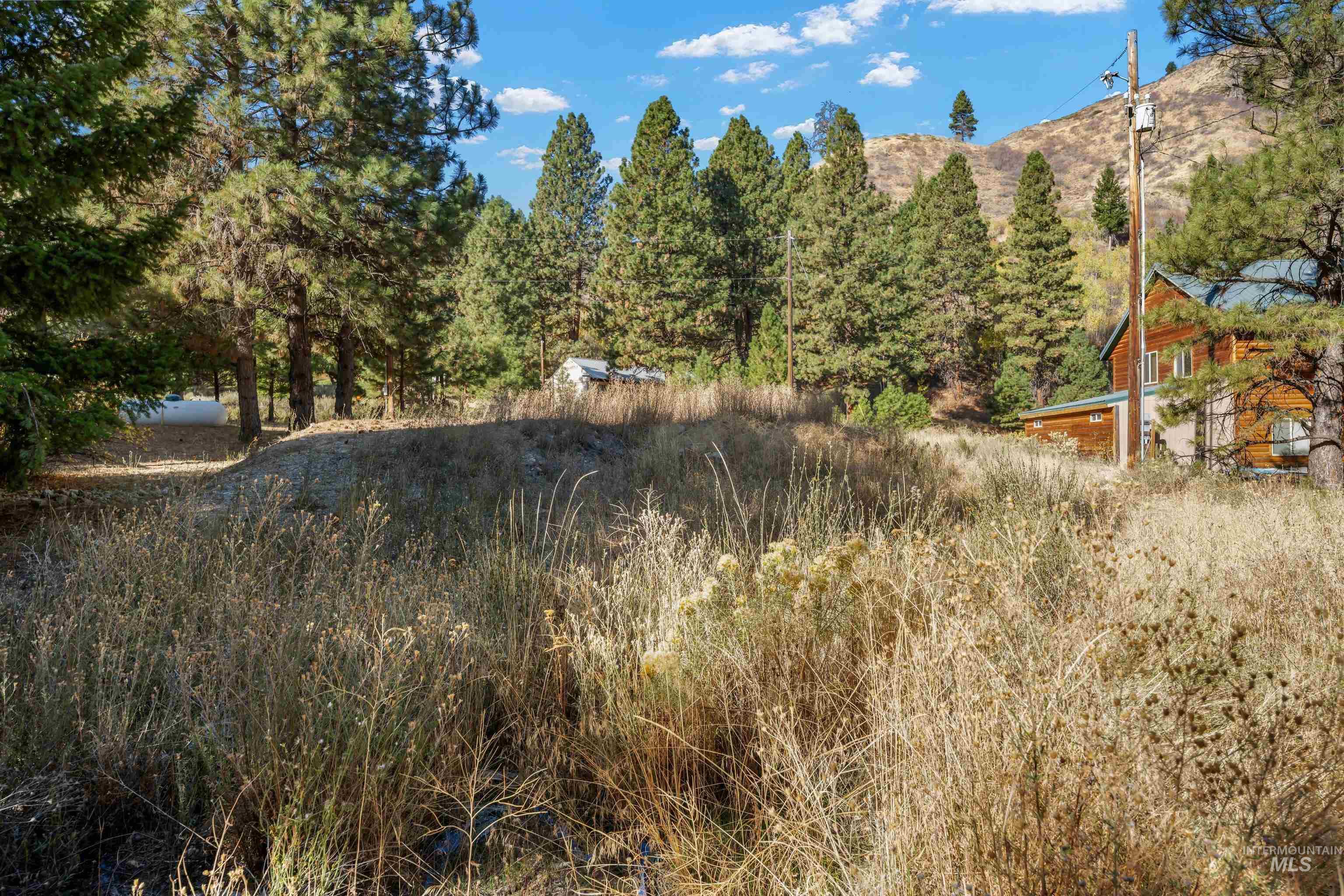TBD N Pine-Featherville RD, Pine, Idaho 83647, Land For Sale, Price $187,000,MLS 99003813