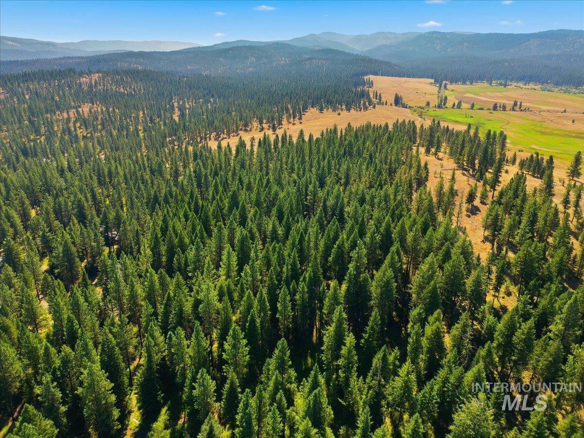 BLK 3 LOT 8 South End Rd, New Meadows, Idaho 83654, Land For Sale, Price $125,000,MLS 99003821