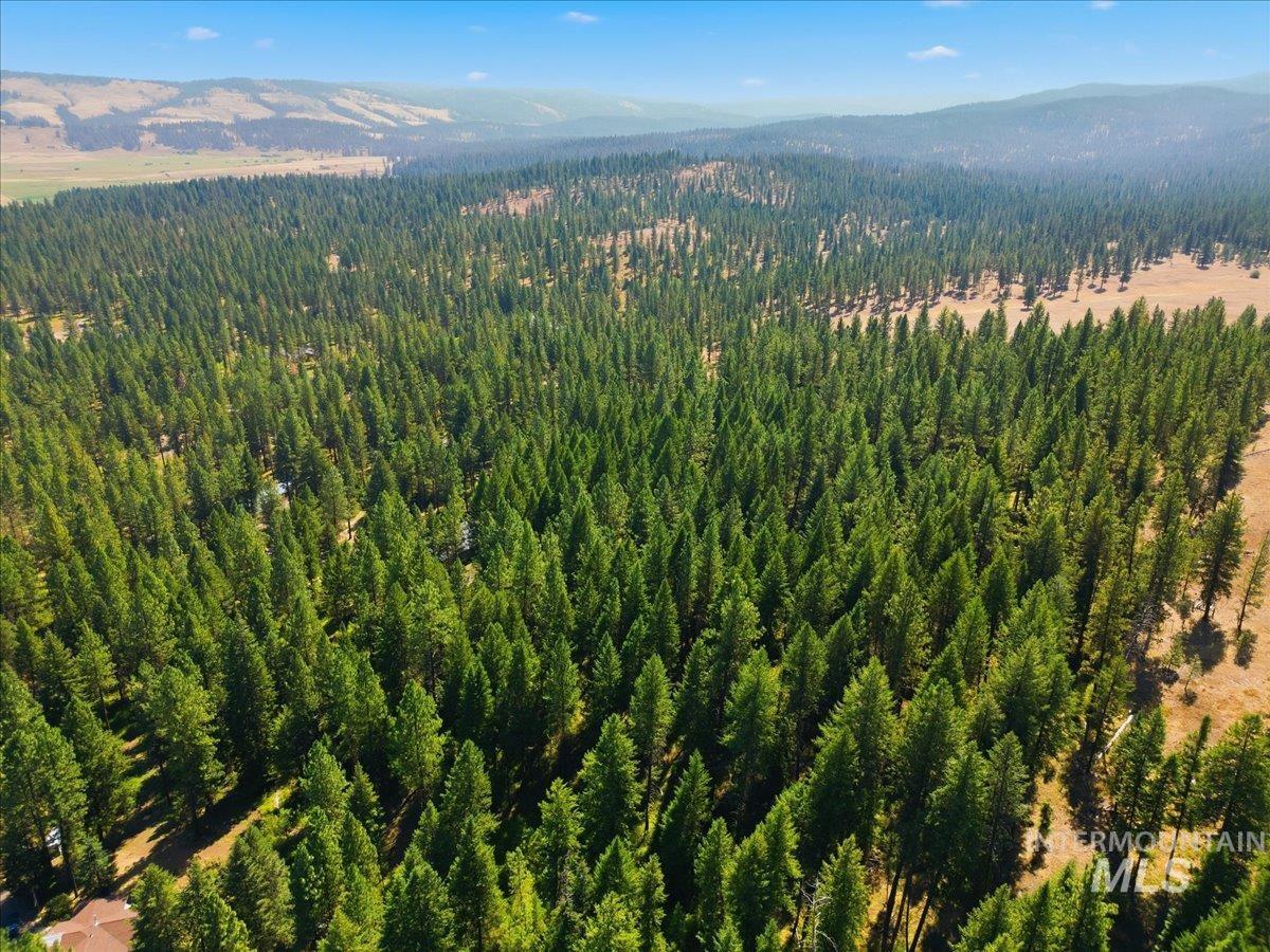 BLK 3 LOT 8 South End Rd, New Meadows, Idaho 83654, Land For Sale, Price $125,000,MLS 99003821