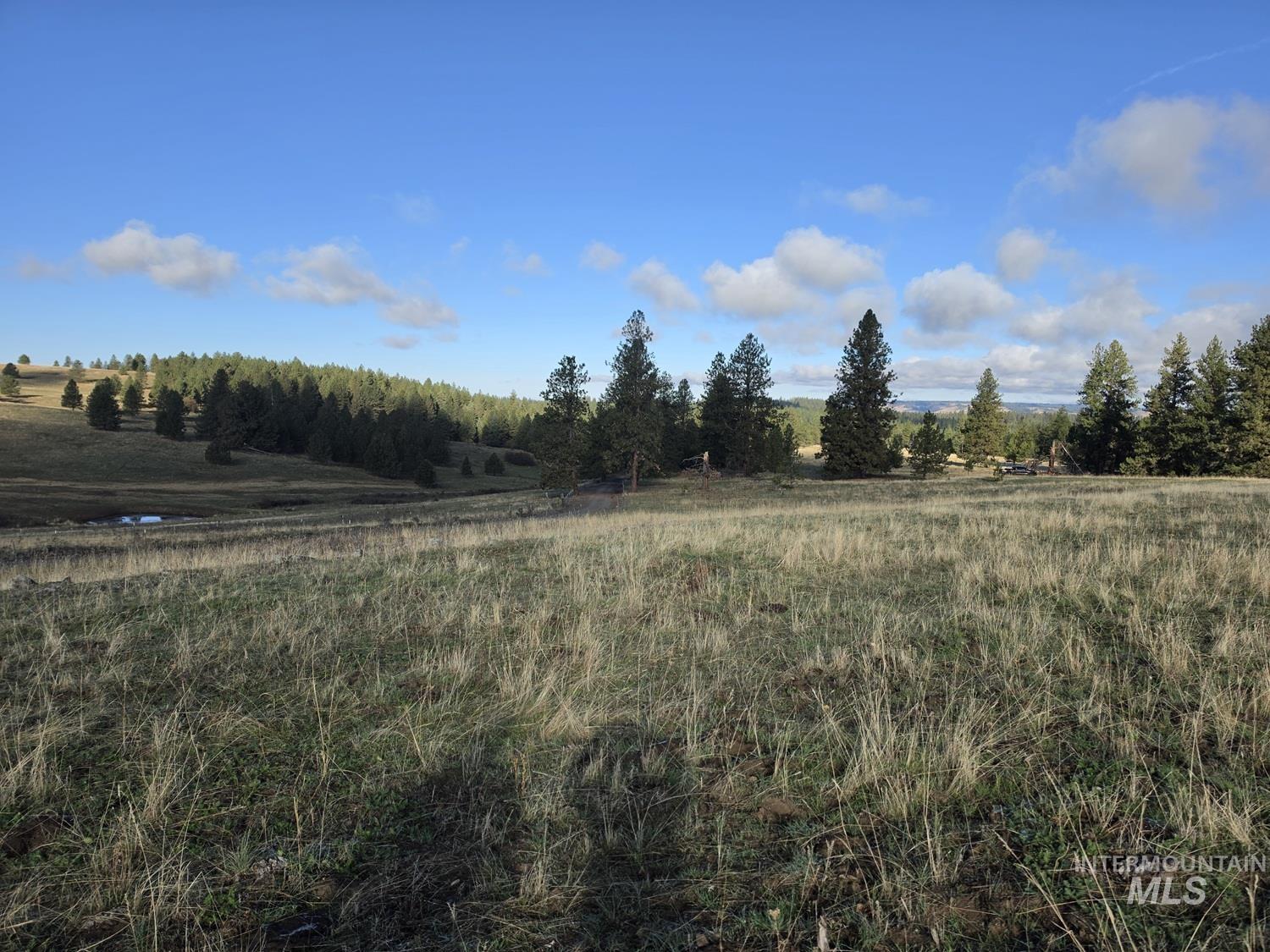 TBD Joseph Plains Rd, White Bird, Idaho 83554, Land For Sale, Price $375,000, 99003926
