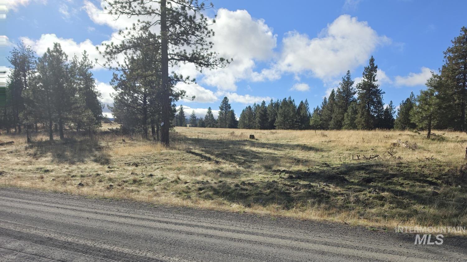 TBD Joseph Plains Rd, White Bird, Idaho 83554, Land For Sale, Price $375,000, 99003926