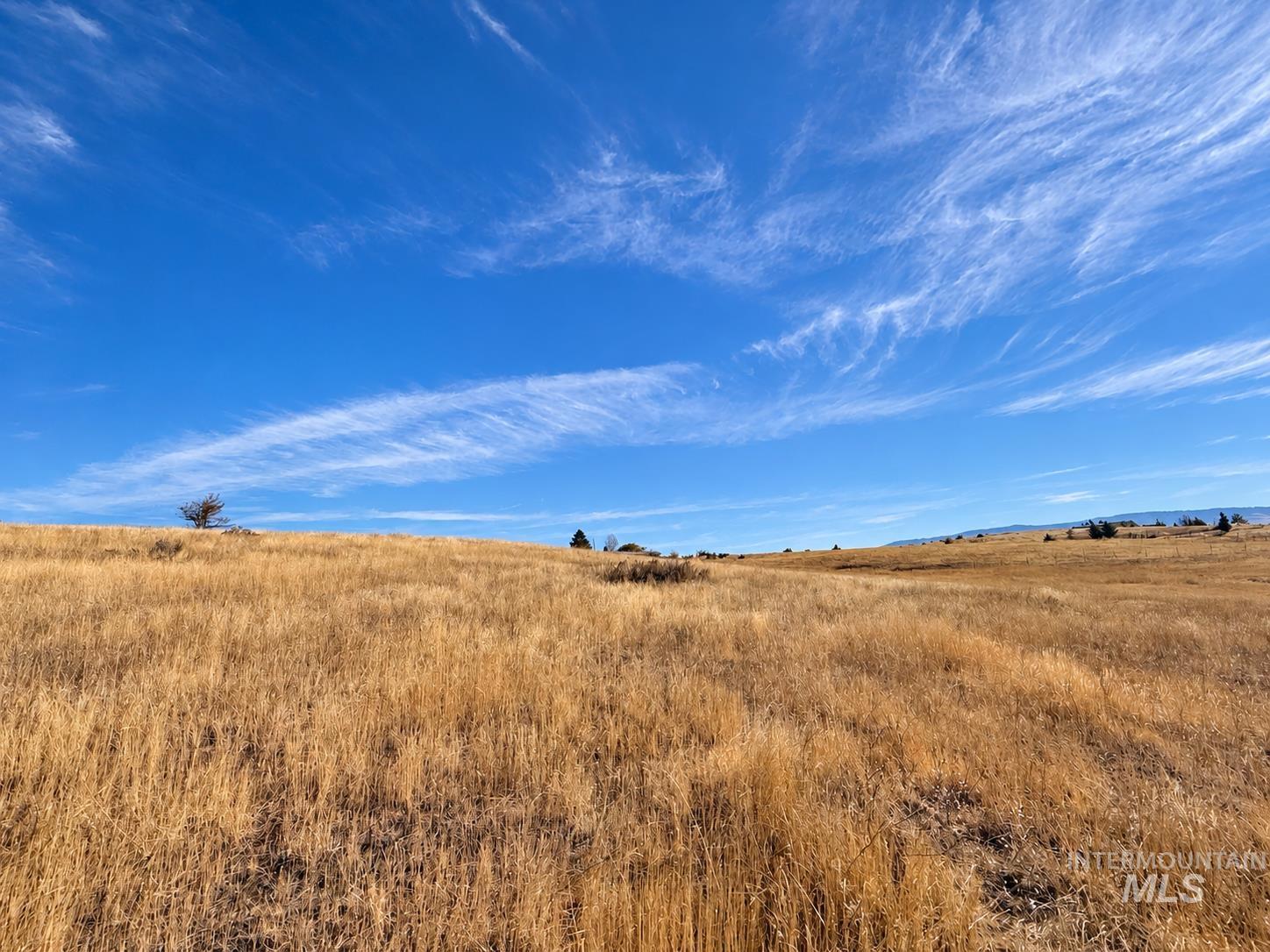 TBD Old 95 Rd, Mesa, Idaho 83643, Land For Sale, Price $130,000,MLS 99003950