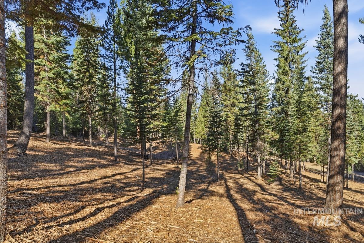 315 Clear Creek Road, Cascade, Idaho 83611, Land For Sale, Price $339,000,MLS 99003970