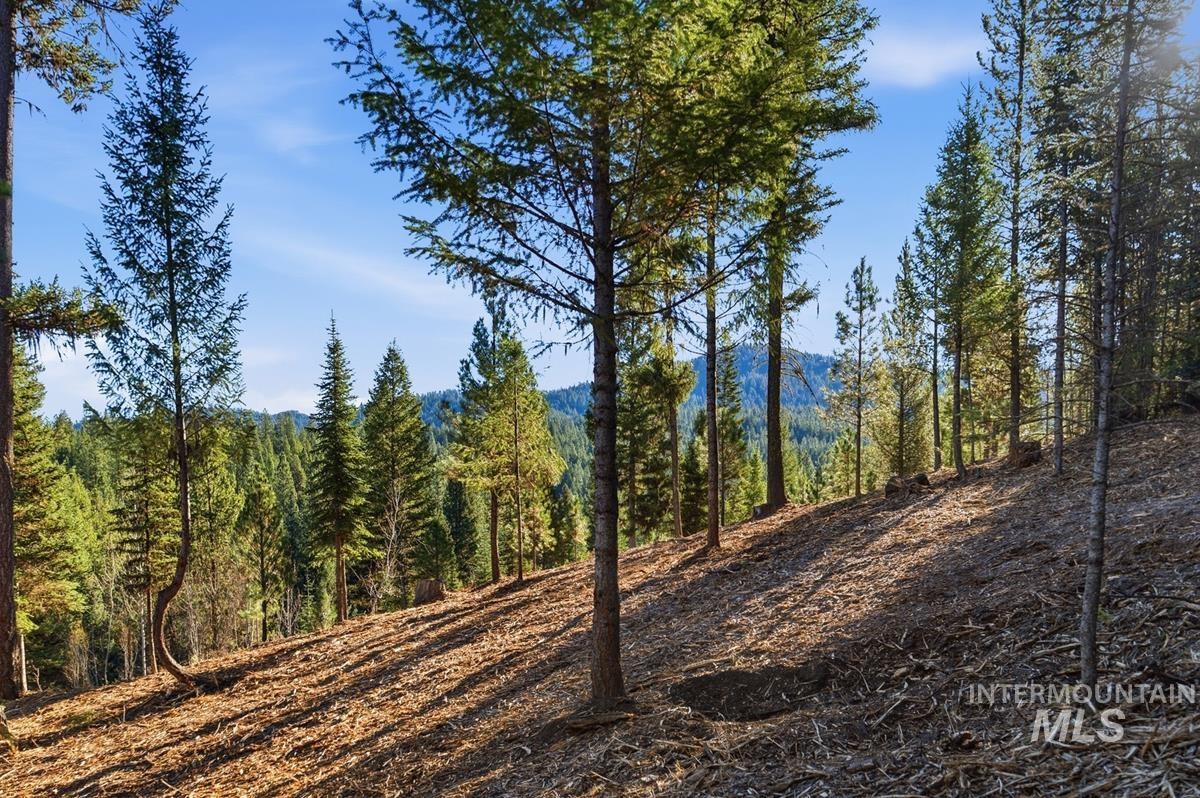 315 Clear Creek Road, Cascade, Idaho 83611, Land For Sale, Price $339,000,MLS 99003970