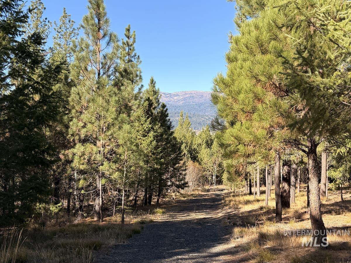 315 Clear Creek Road, Cascade, Idaho 83611, Land For Sale, Price $339,000,MLS 99003970