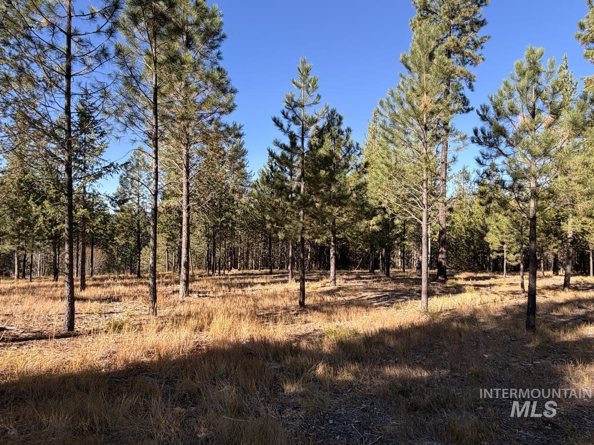 315 Clear Creek Road, Cascade, Idaho 83611, Land For Sale, Price $339,000,MLS 99003970