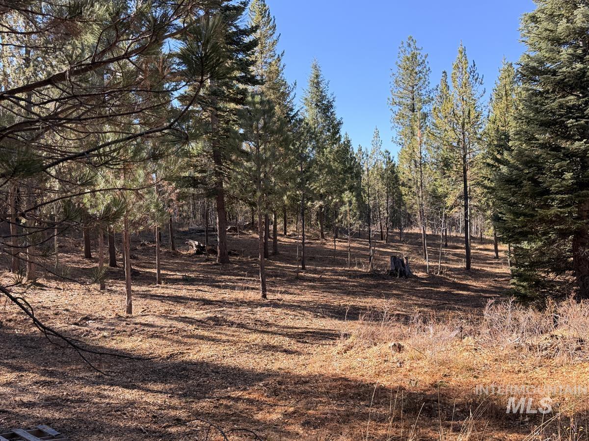 315 Clear Creek Road, Cascade, Idaho 83611, Land For Sale, Price $339,000,MLS 99003970