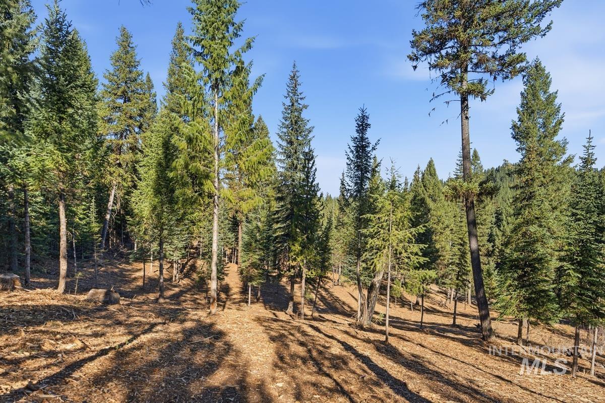315 Clear Creek Road, Cascade, Idaho 83611, Land For Sale, Price $339,000,MLS 99003970