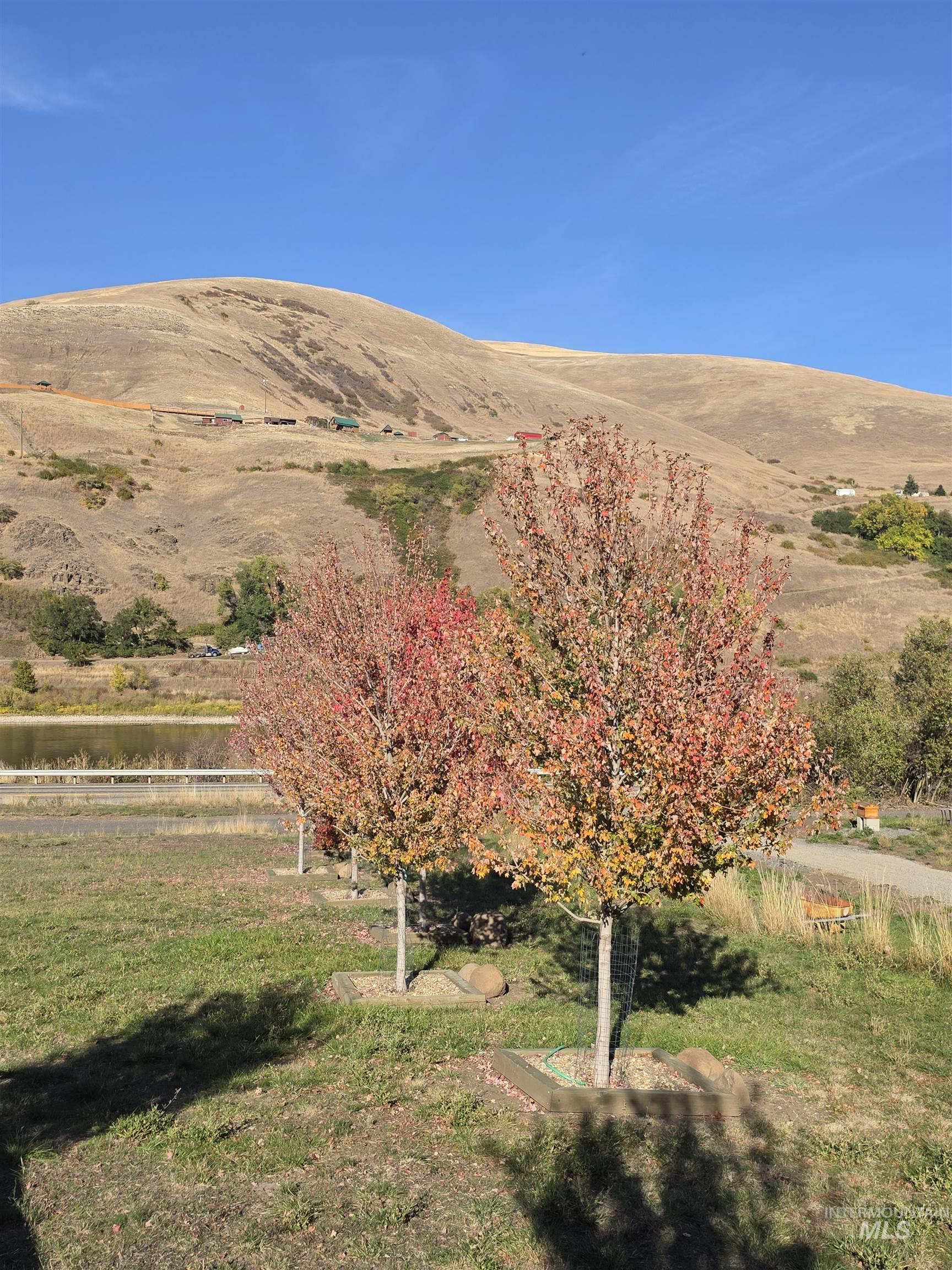 18631 Walnut Lane, Lenore, Idaho 83541, 2 Bedrooms, 2 Bathrooms, Residential For Sale, Price $549,000, 99004040