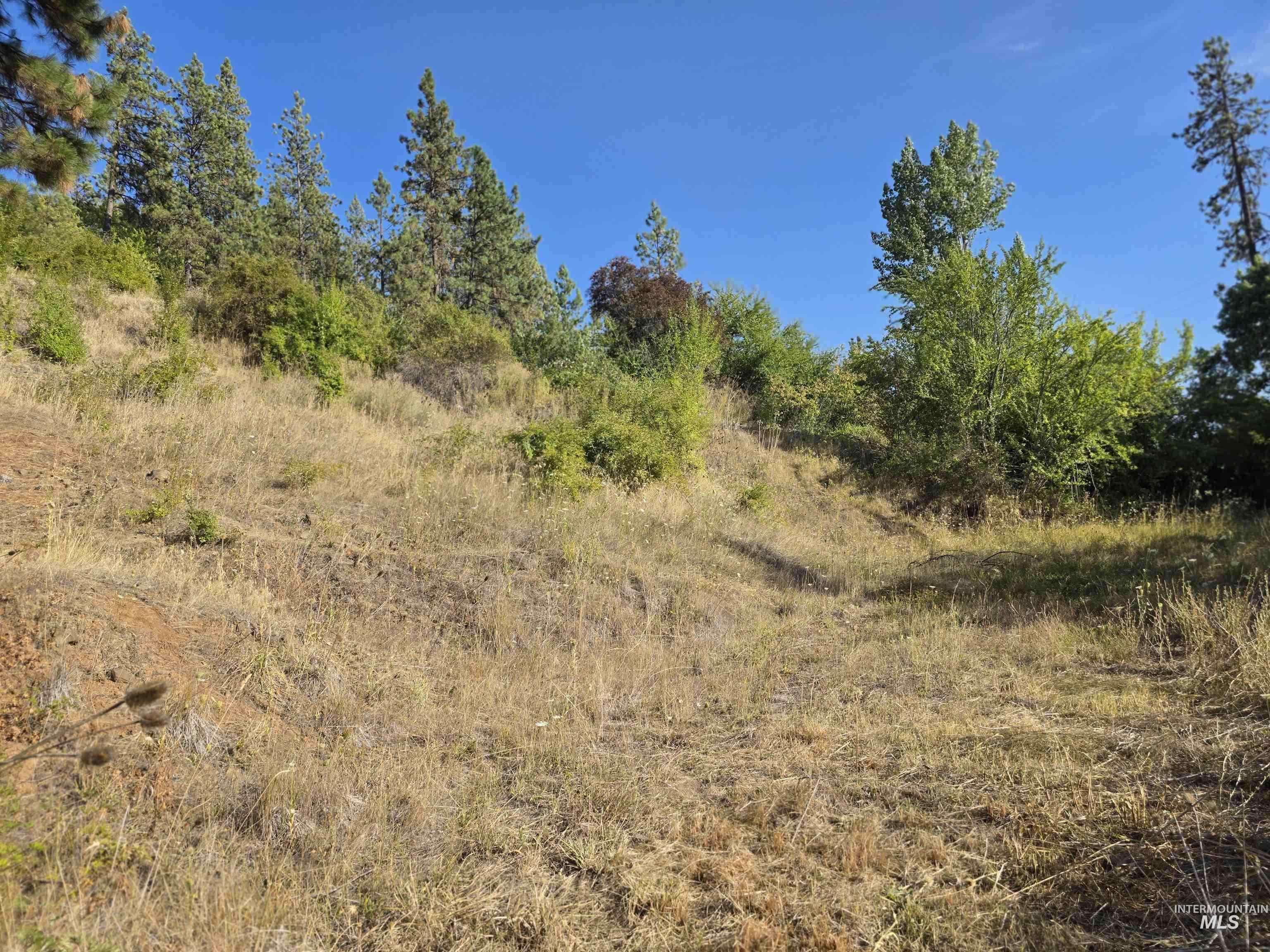 113 View Rd, Kamiah, Idaho 83536, Land For Sale, Price $115,000,MLS 99004055