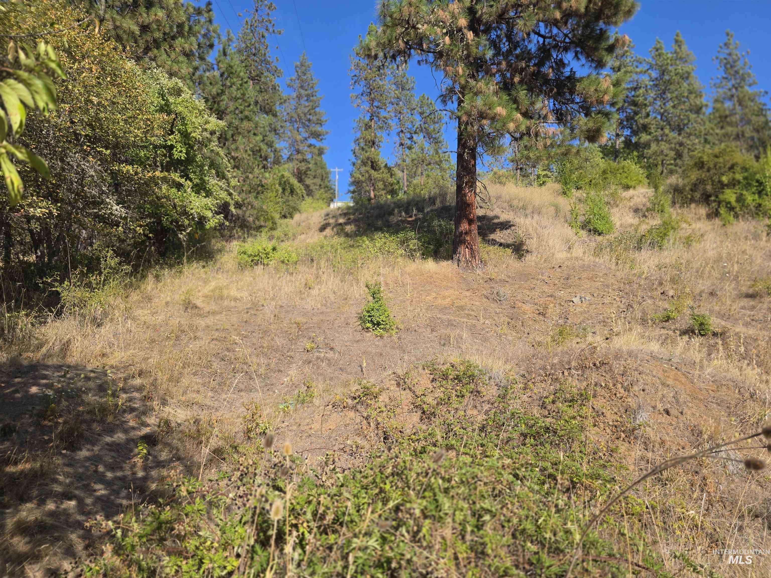 113 View Rd, Kamiah, Idaho 83536, Land For Sale, Price $115,000,MLS 99004055