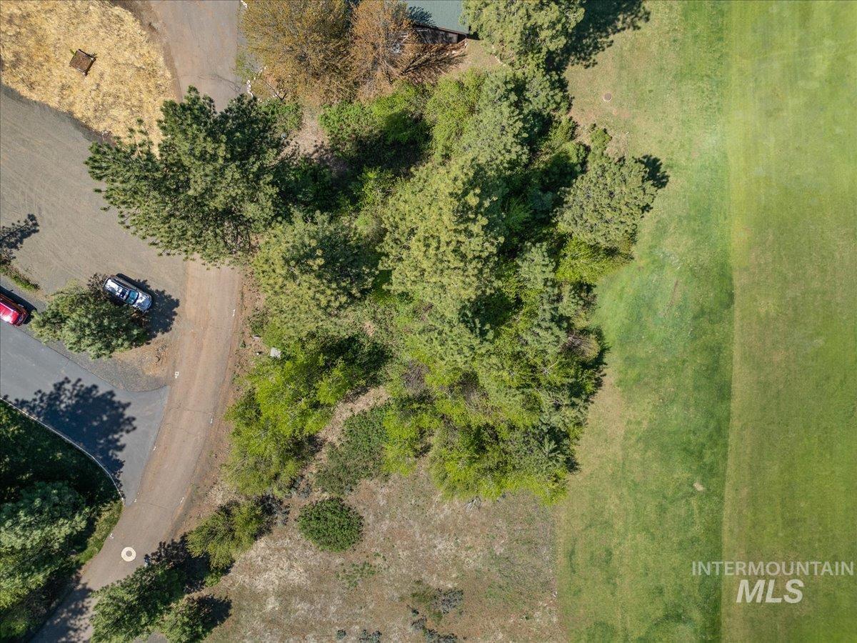 L5 Ponderosa Court, New Meadows, Idaho 83654, Land For Sale, Price $115,000,MLS 99004062