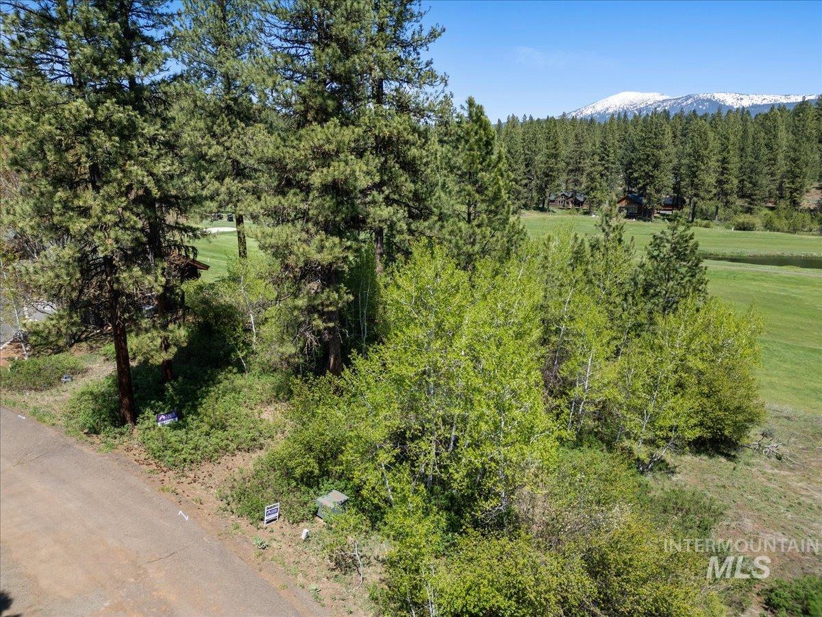 L5 Ponderosa Court, New Meadows, Idaho 83654, Land For Sale, Price $115,000,MLS 99004062
