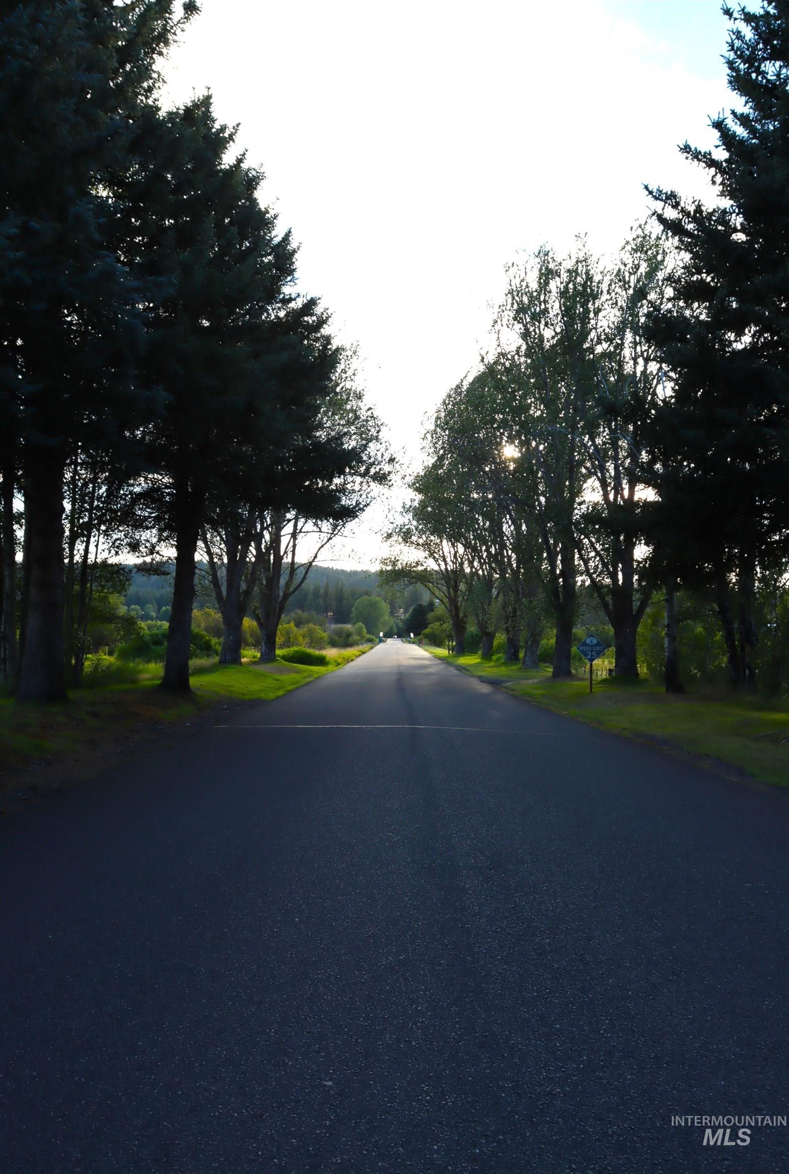 L5 Ponderosa Court, New Meadows, Idaho 83654, Land For Sale, Price $115,000,MLS 99004062