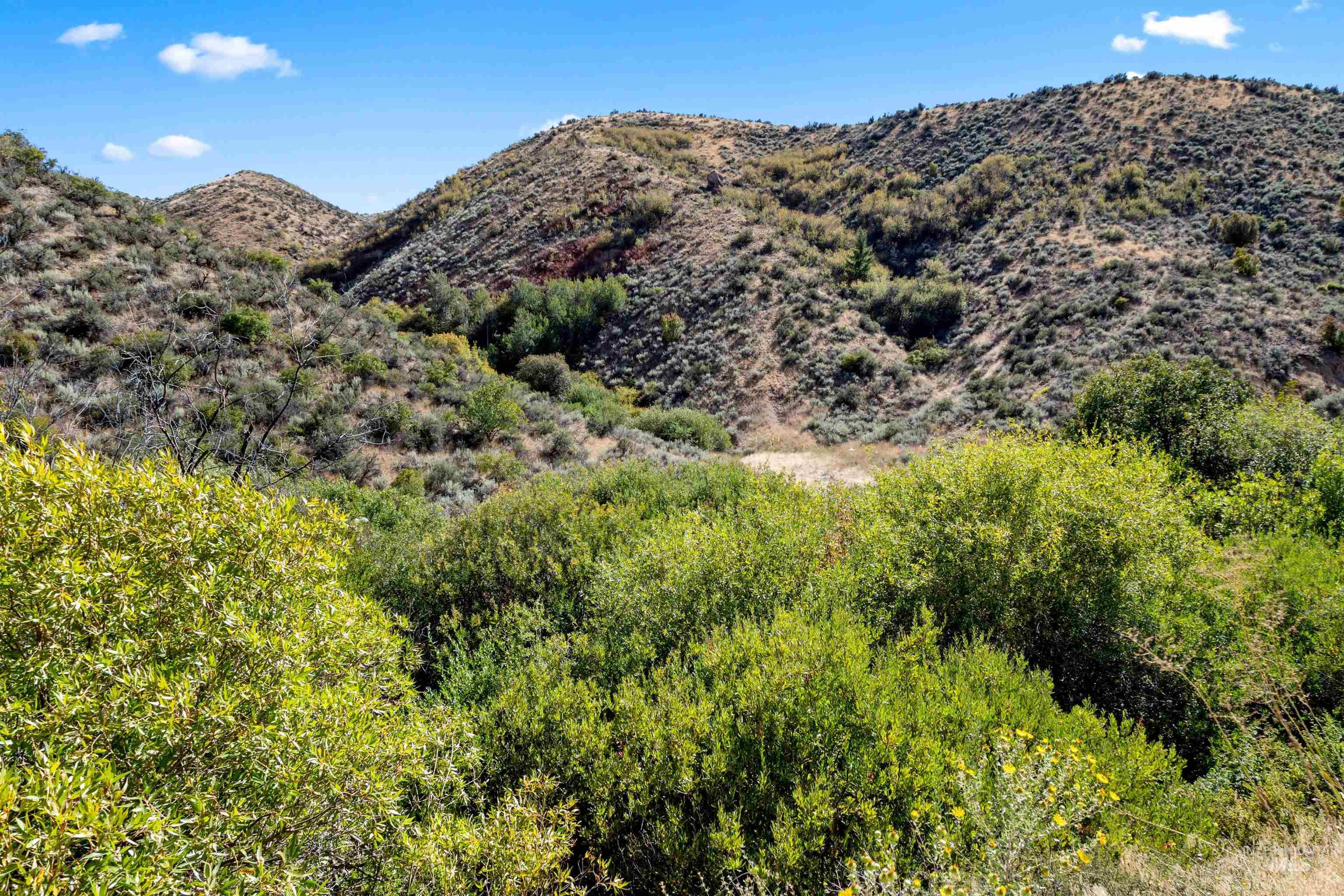 TBD E Shaw Mountain Rd, Boise, Idaho 83712, Land For Sale, Price $599,000, 99004069