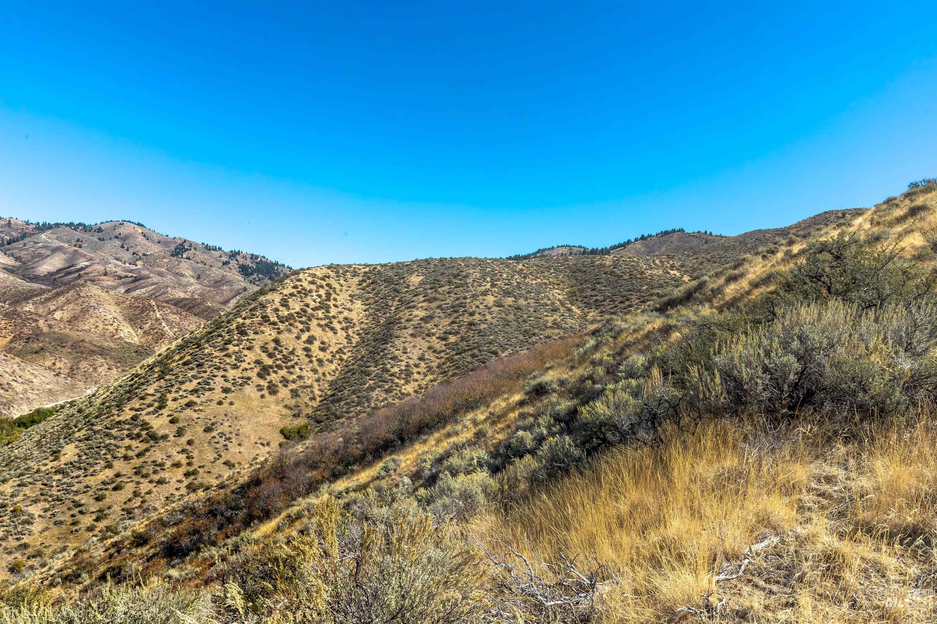 TBD E Shaw Mountain Rd, Boise, Idaho 83712, Land For Sale, Price $599,000, 99004069