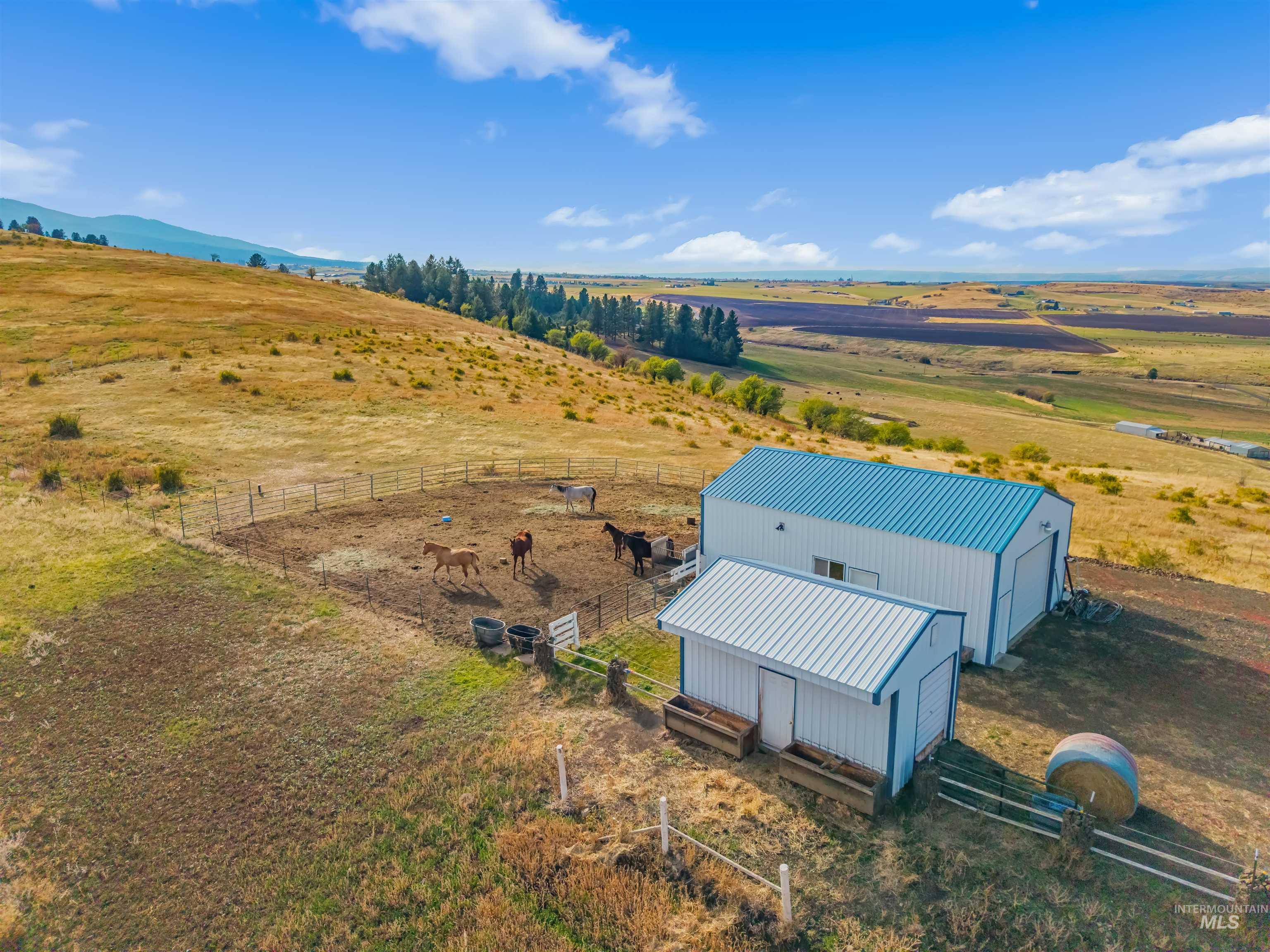 124 Hunters Way, Grangeville, Idaho 83530, 4 Bedrooms, 2 Bathrooms, Residential For Sale, Price $699,900,MLS 99004075