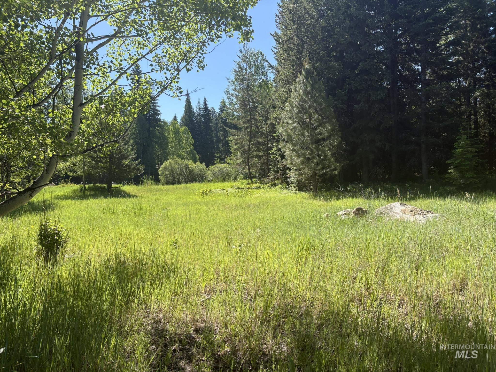 1024 Penstemen Pl, McCall, Idaho 83638, Land For Sale, Price $349,000, 99004166