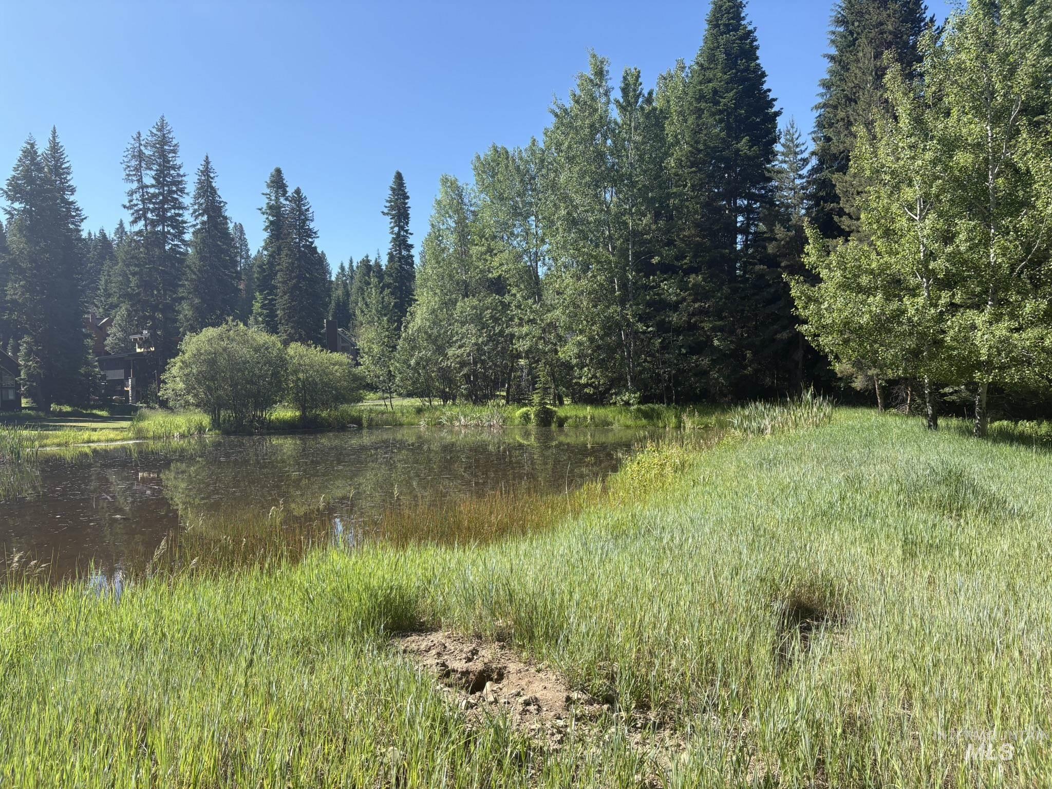 1024 Penstemen Pl, McCall, Idaho 83638, Land For Sale, Price $349,000, 99004166