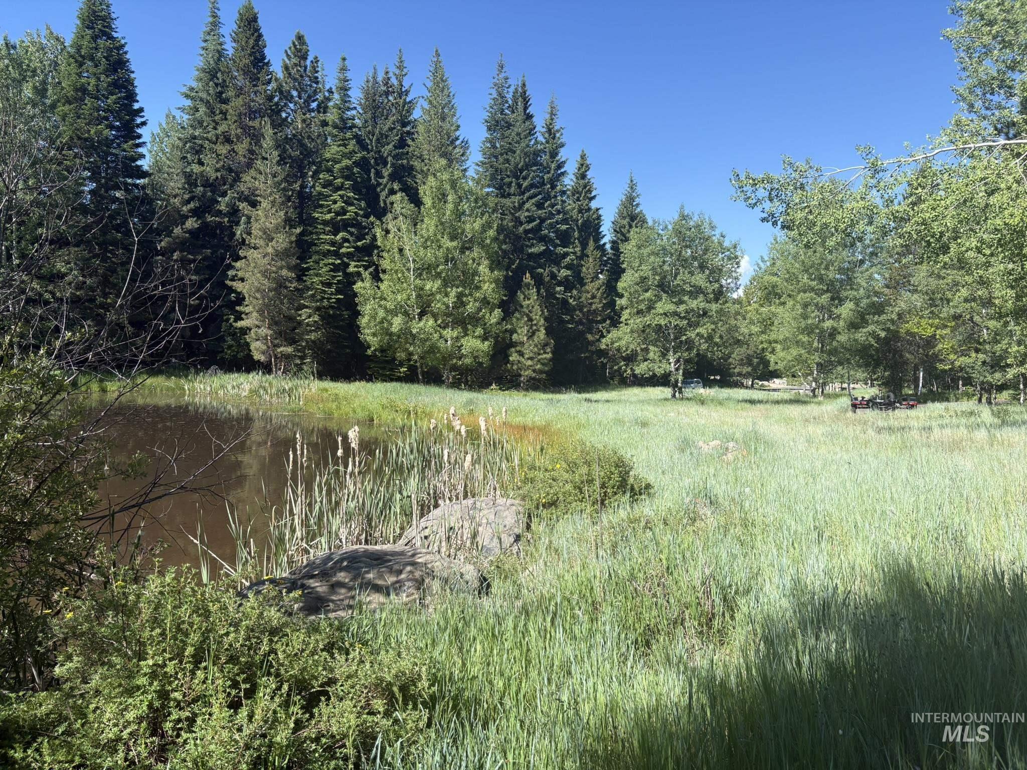 1024 Penstemen Pl, McCall, Idaho 83638, Land For Sale, Price $349,000, 99004166