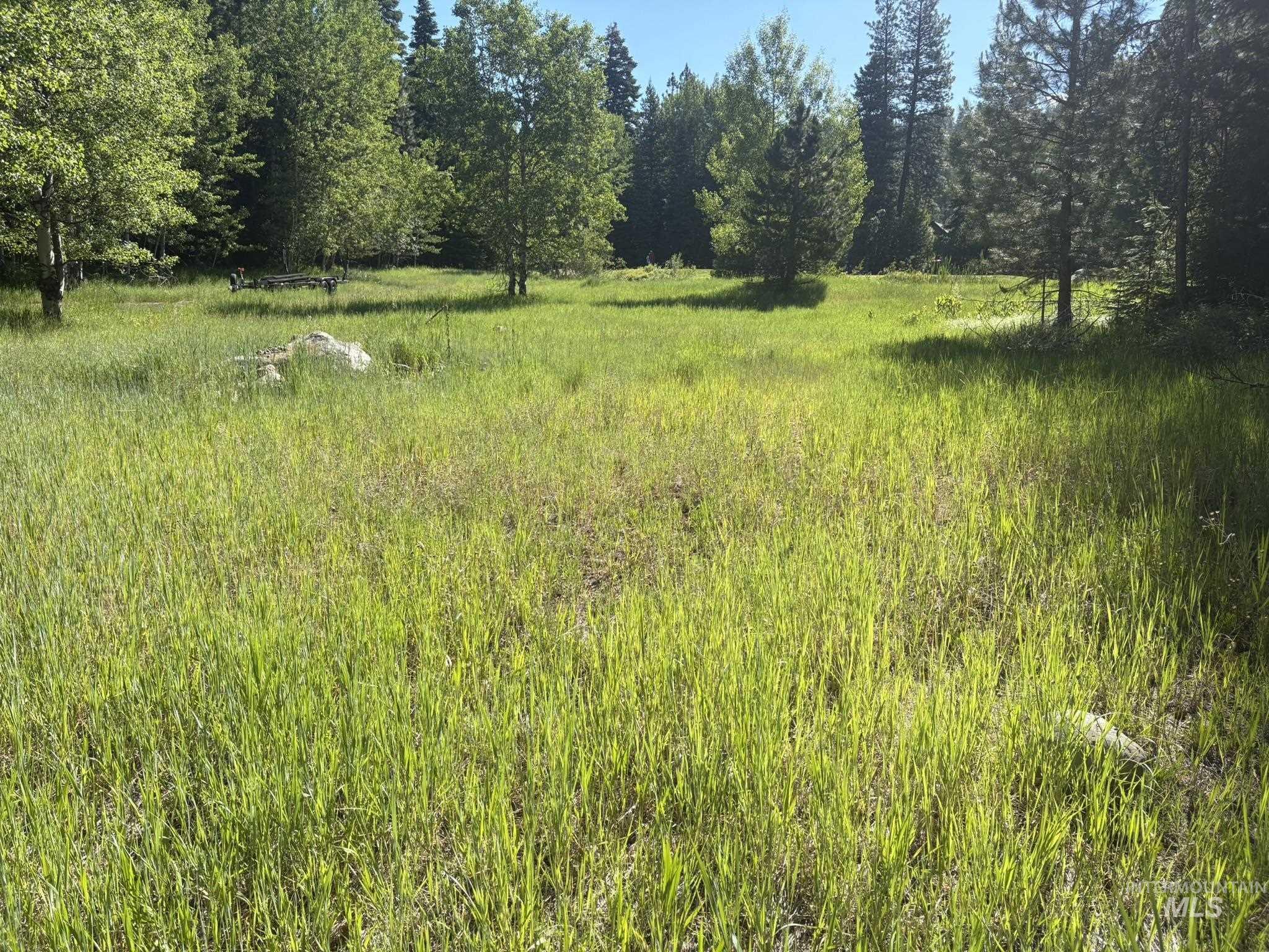1024 Penstemen Pl, McCall, Idaho 83638, Land For Sale, Price $349,000, 99004166