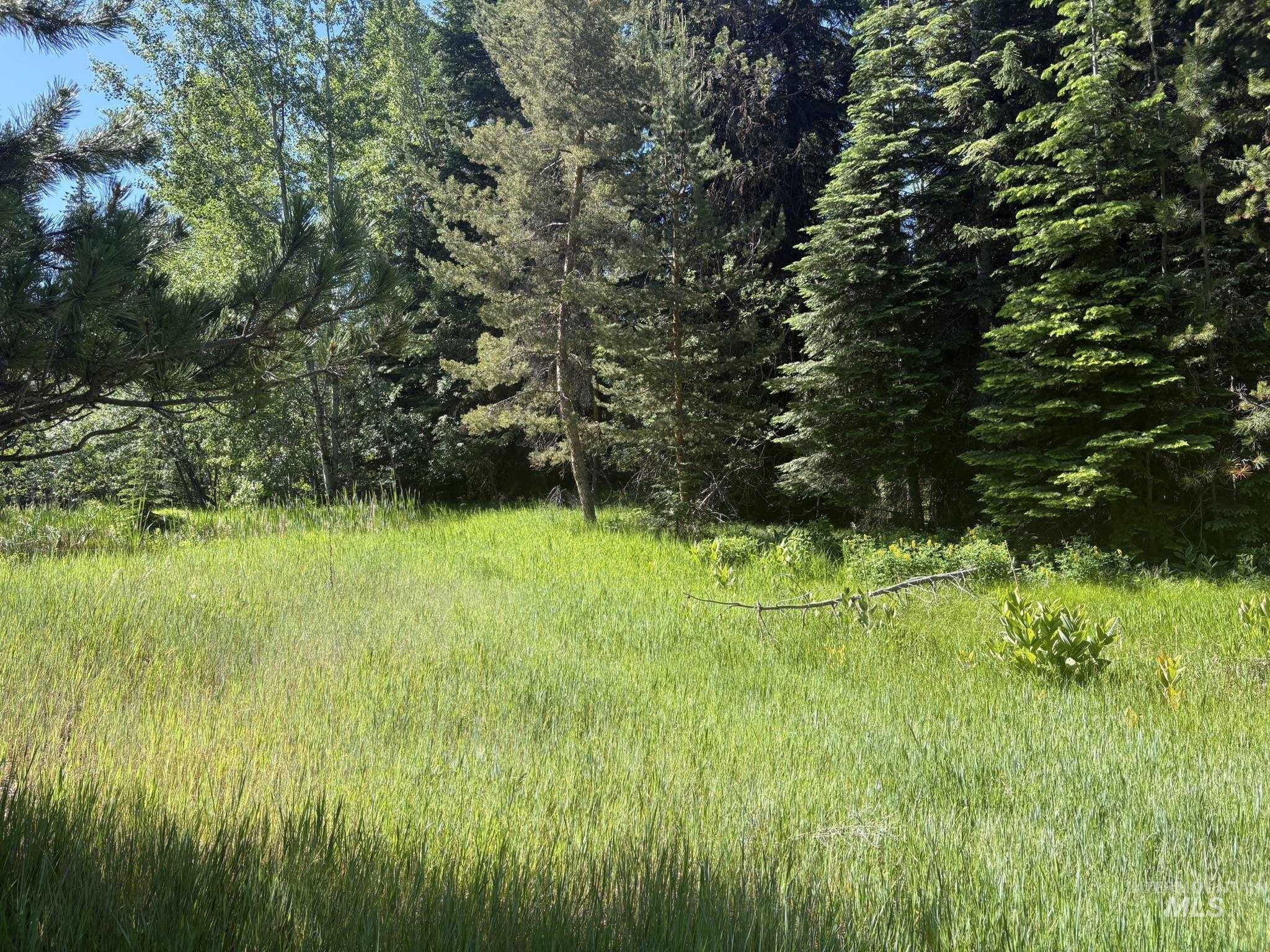 1024 Penstemen Pl, McCall, Idaho 83638, Land For Sale, Price $349,000, 99004166