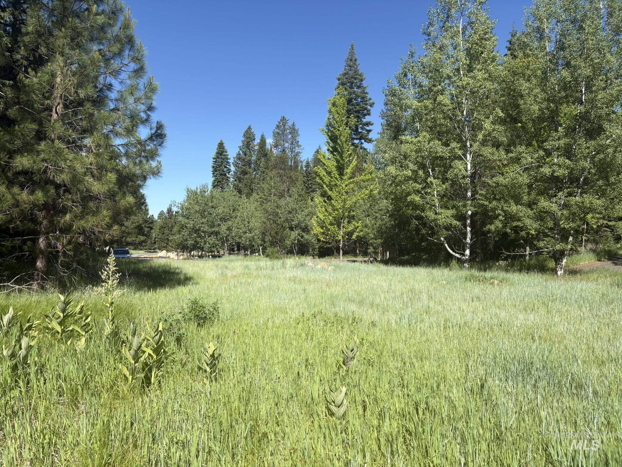 1024 Penstemen Pl, McCall, Idaho 83638, Land For Sale, Price $349,000, 99004166