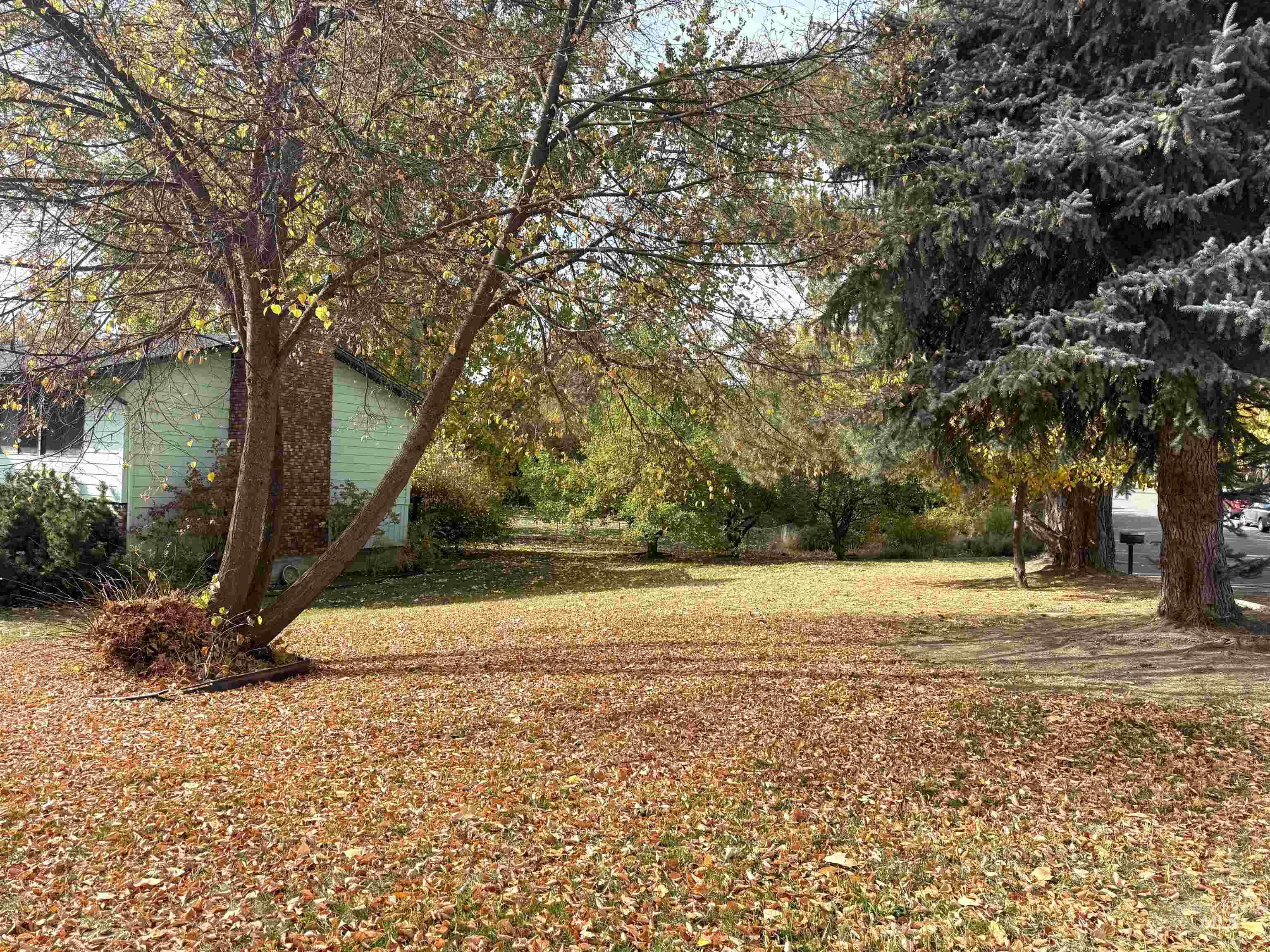 1329 Tamarack, Moscow, Idaho 83843, 4 Bedrooms, 3 Bathrooms, Residential For Sale, Price $549,000, 99004177