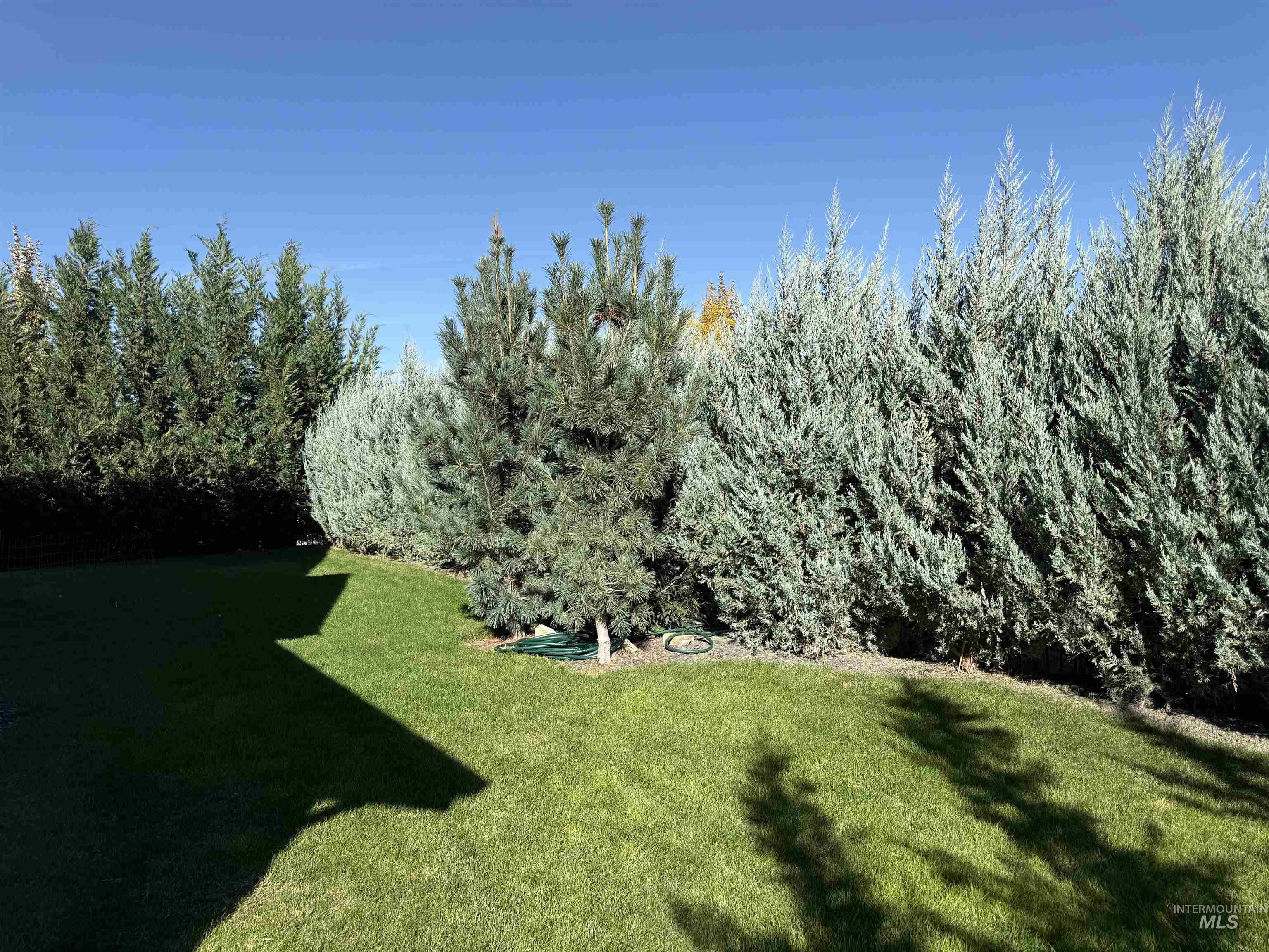 2280 N Burnam, Star, Idaho 83669, 4 Bedrooms, 3 Bathrooms, Residential For Sale, Price $749,900,MLS 99004210