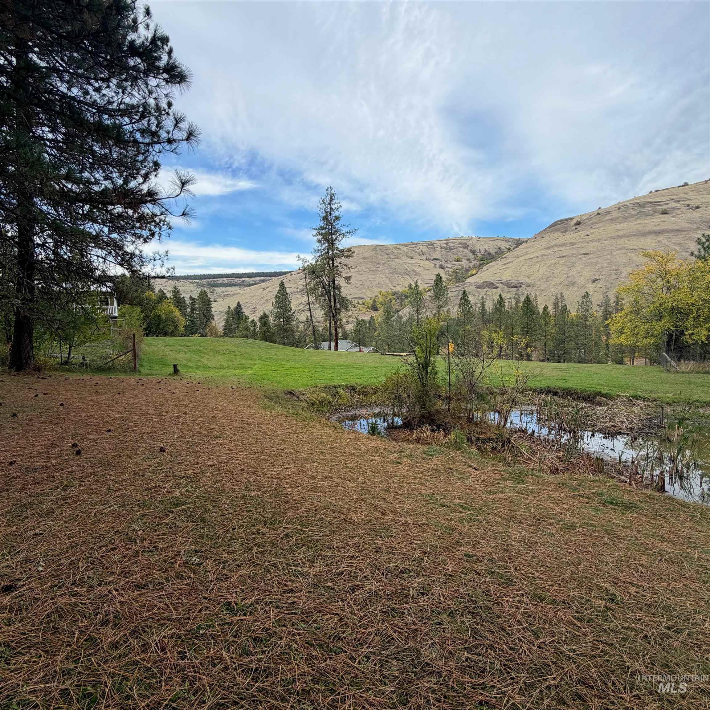 131 Skyline Loop Rd, Kooskia, Idaho 83539, 5 Bedrooms, 3 Bathrooms, Residential For Sale, Price $469,000,MLS 99004227
