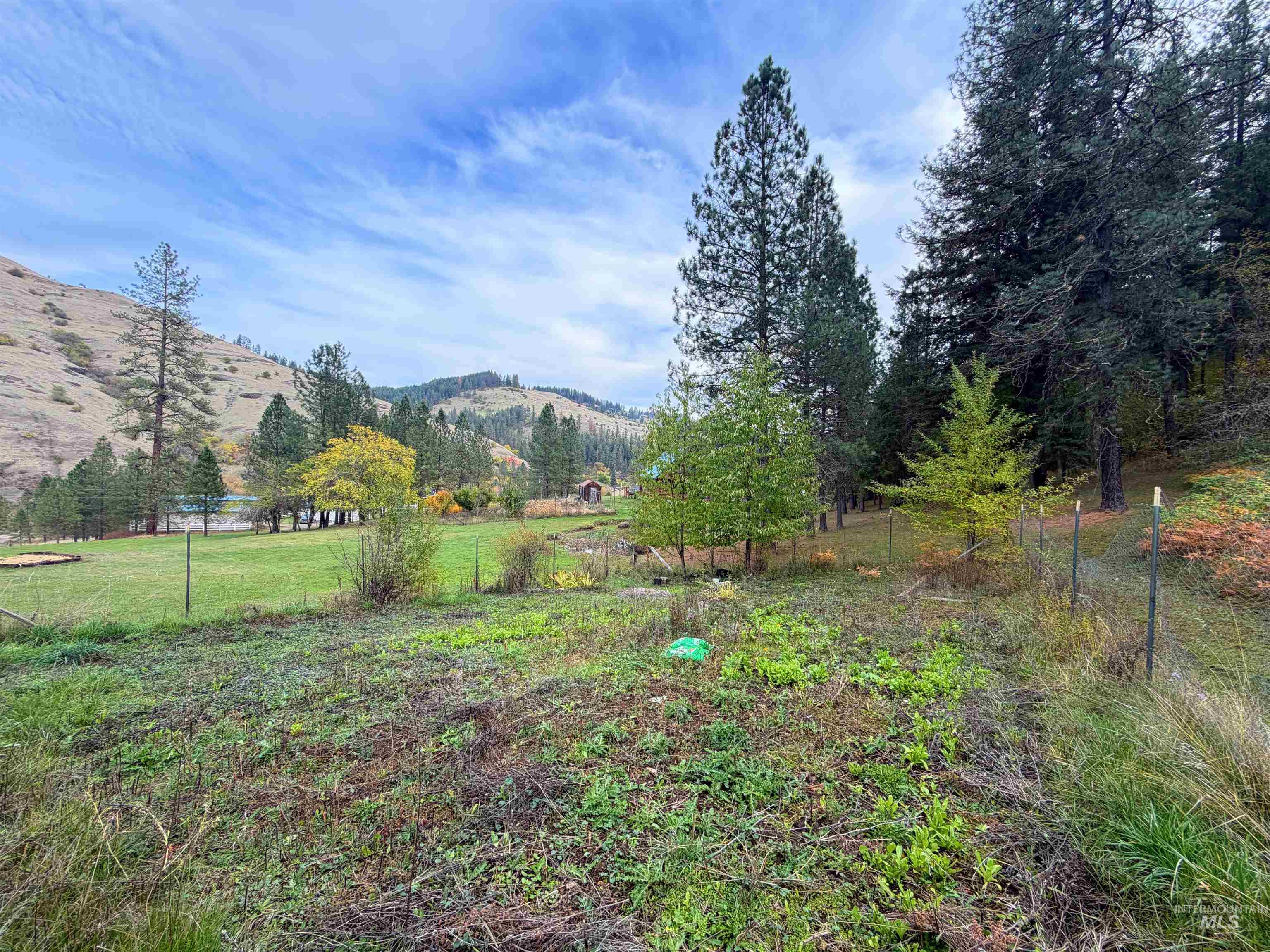 131 Skyline Loop Rd, Kooskia, Idaho 83539, 5 Bedrooms, 3 Bathrooms, Residential For Sale, Price $469,000,MLS 99004227