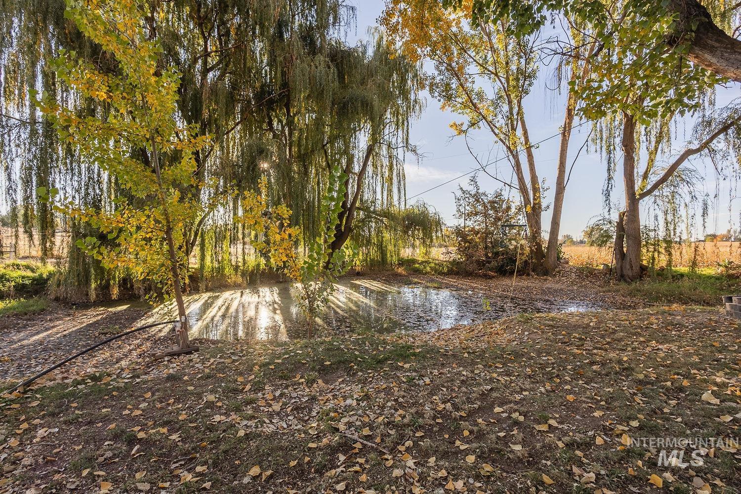 25530 Gooseberry Lane, Caldwell, Idaho 83607, 5 Bedrooms, 3.5 Bathrooms, Residential For Sale, Price $949,999,MLS 99004236