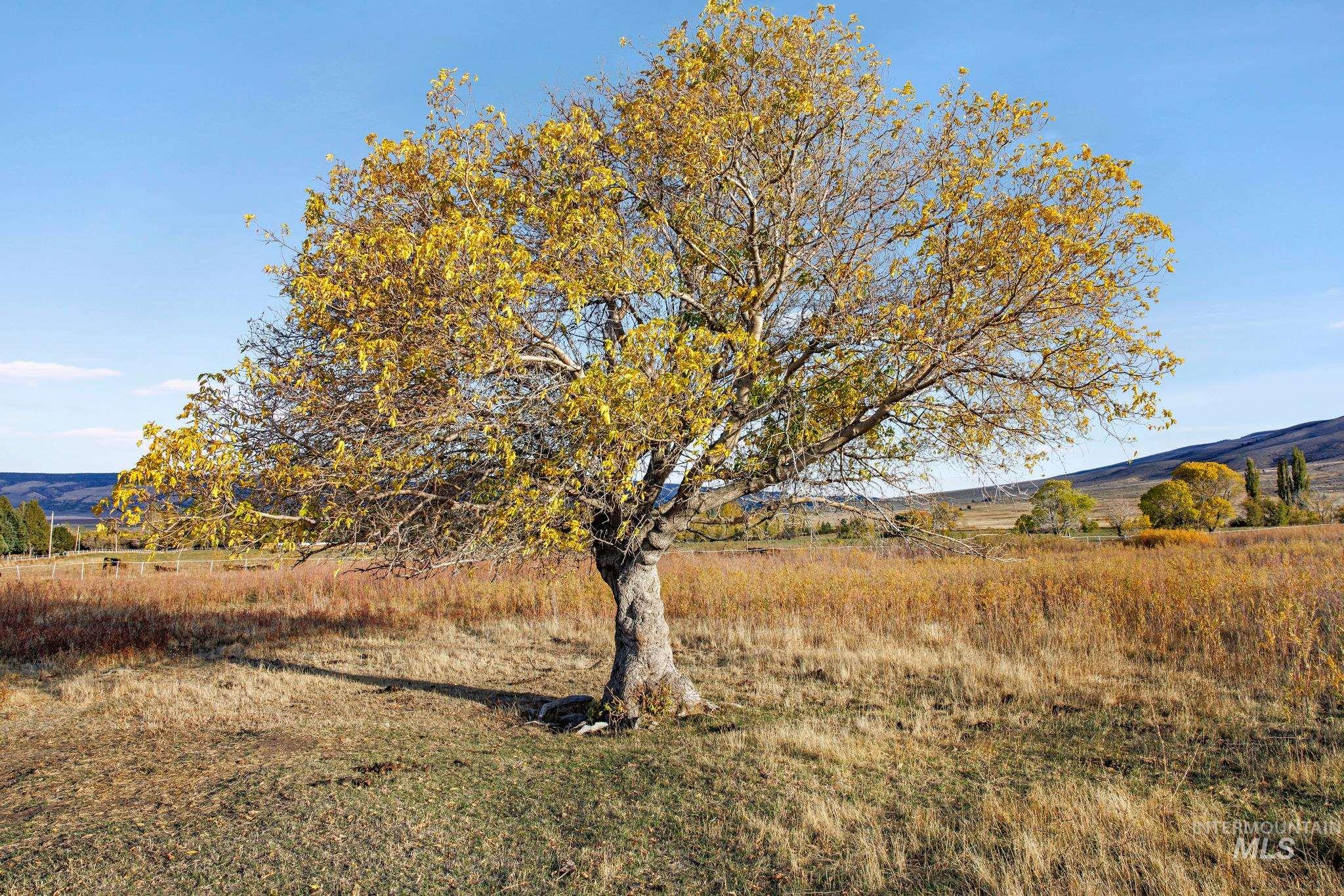 992 E 1000 S Parcel 3, Albion, Idaho 83311, Land For Sale, Price $650,000, 99004283