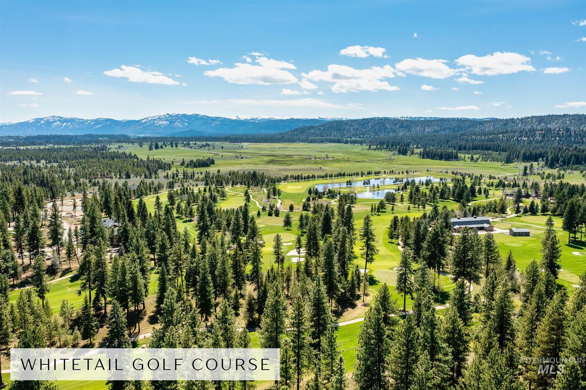 1064 Blackhawk Lake Dr, McCall, Idaho 83638, Land For Sale, Price $357,000, 99004352