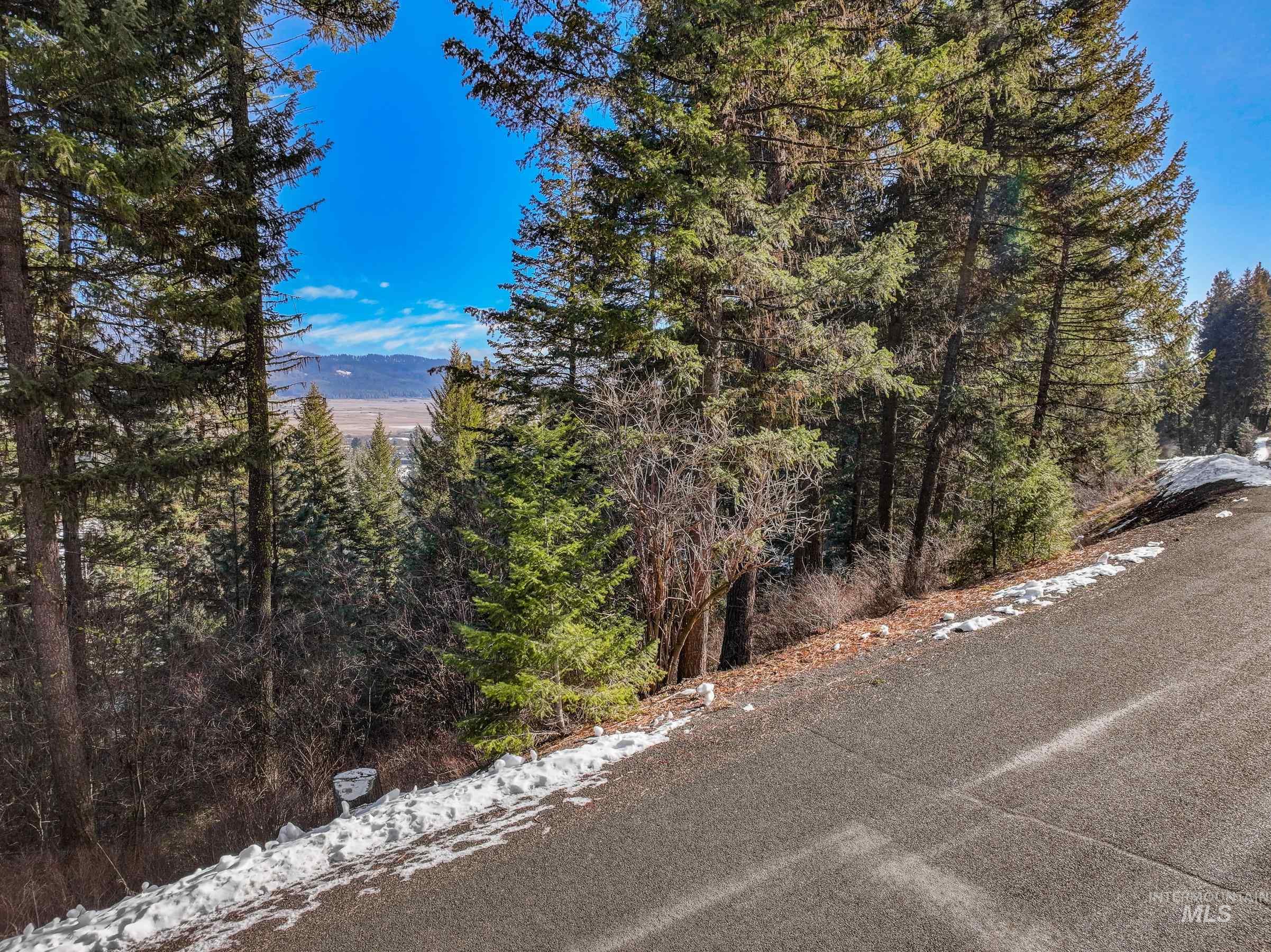 L2 B27 Hogan Road, New Meadows, Idaho 83654, Land For Sale, Price $59,000, 99004422