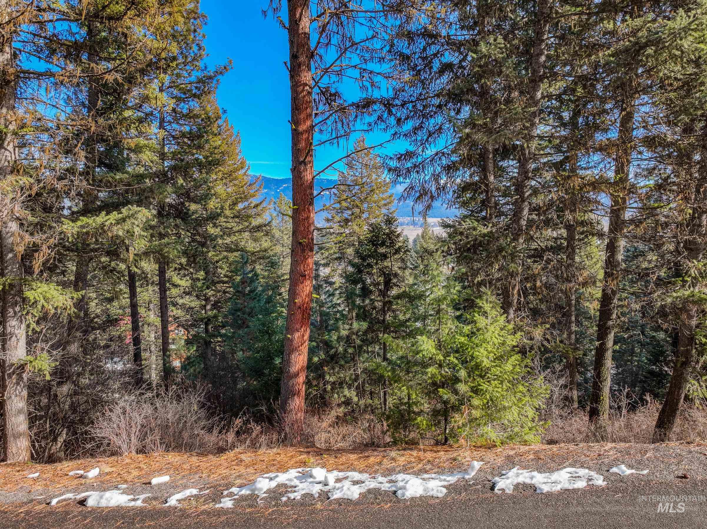 L2 B27 Hogan Road, New Meadows, Idaho 83654, Land For Sale, Price $59,000, 99004422