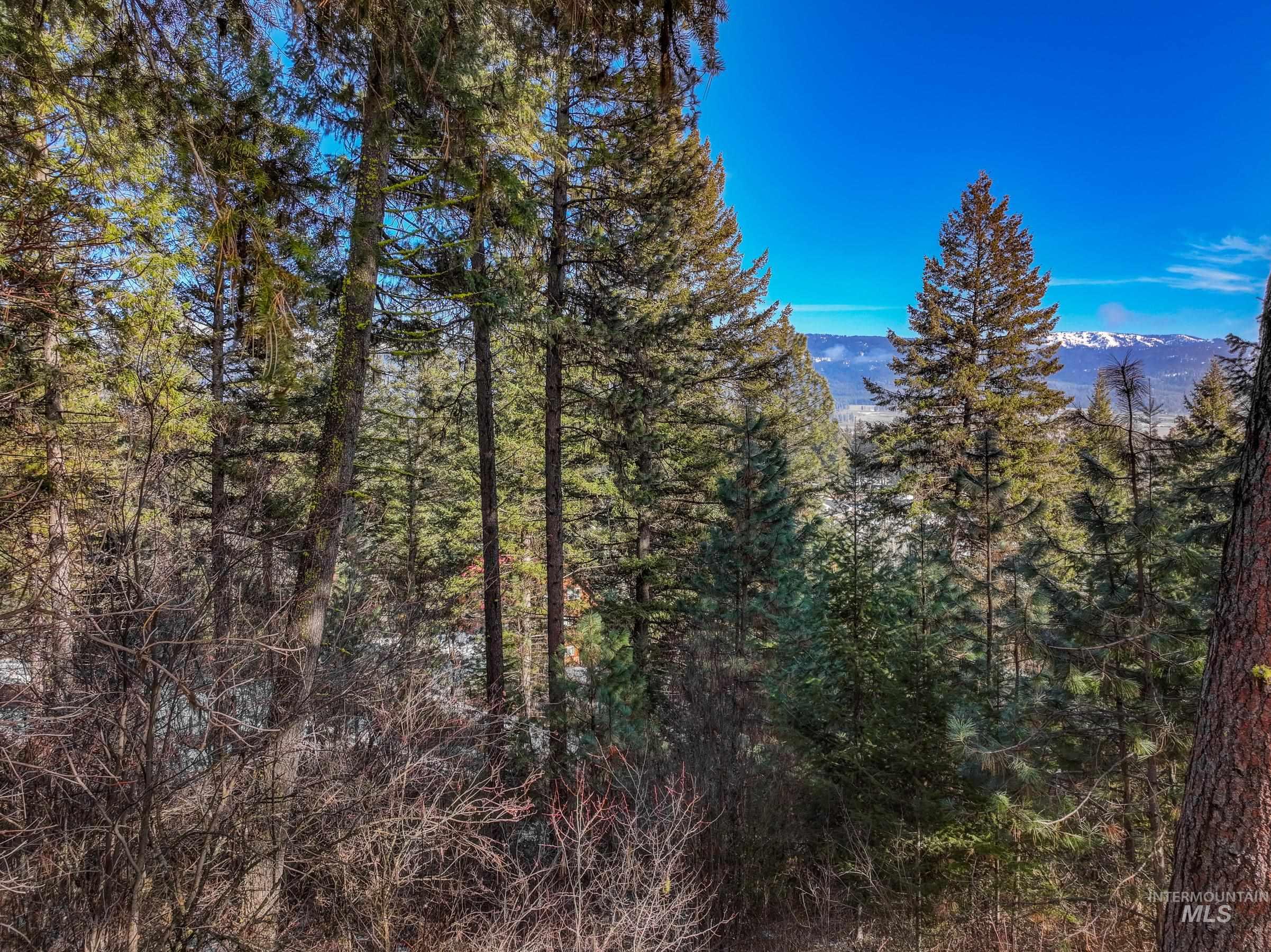 L2 B27 Hogan Road, New Meadows, Idaho 83654, Land For Sale, Price $59,000, 99004422