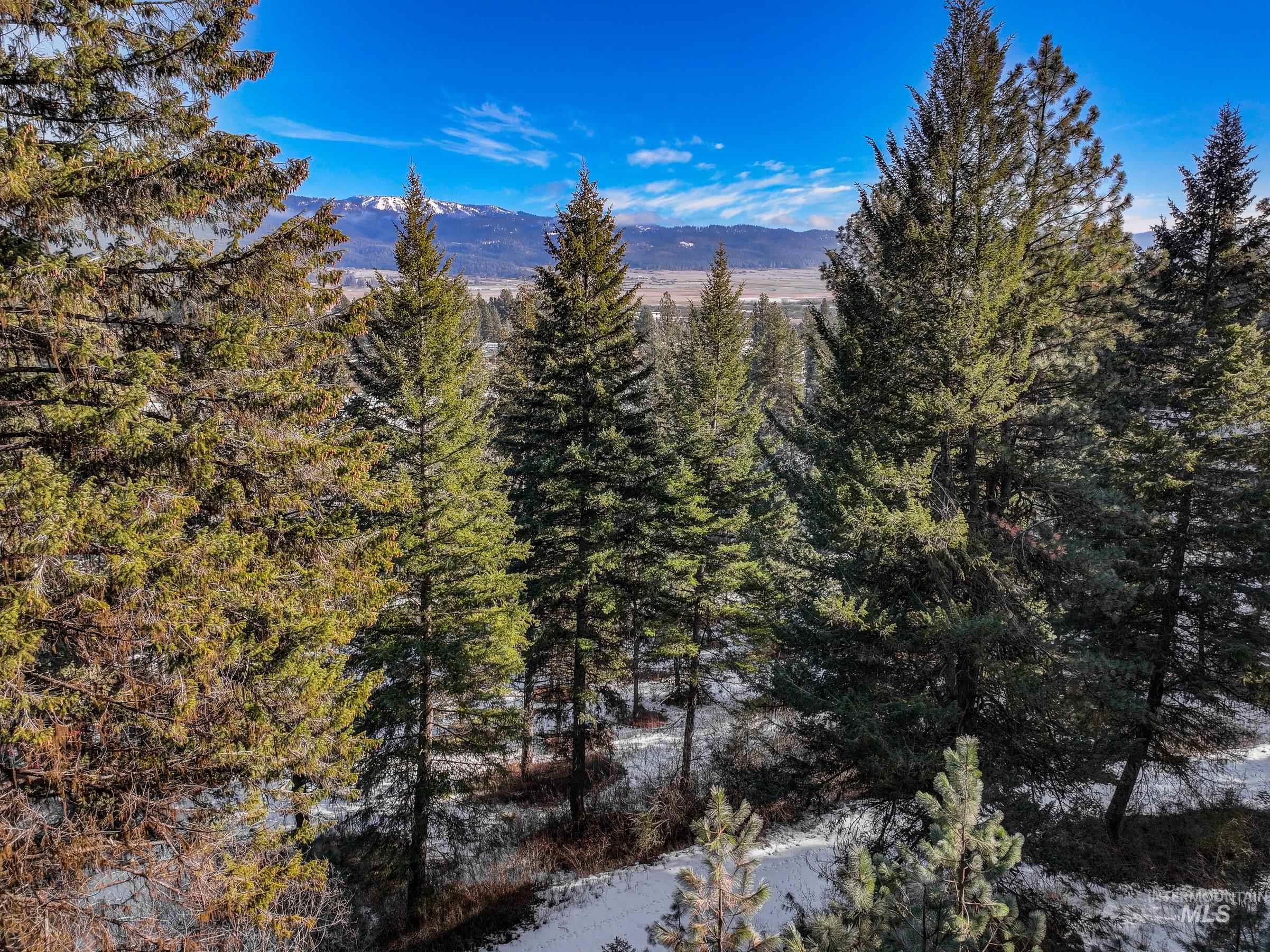 L2 B27 Hogan Road, New Meadows, Idaho 83654, Land For Sale, Price $59,000, 99004422