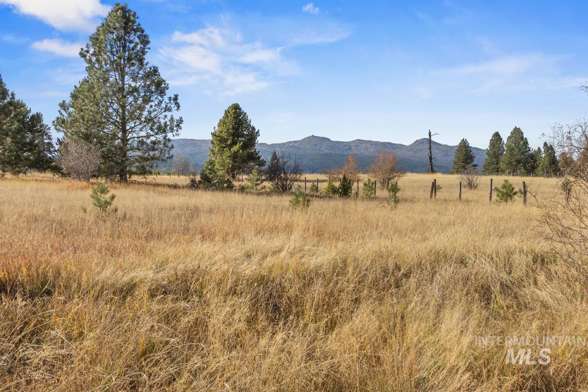 21 Willow Way, Cascade, Idaho 83611, 3 Bedrooms, 2 Bathrooms, Residential For Sale, Price $725,000, 99004428