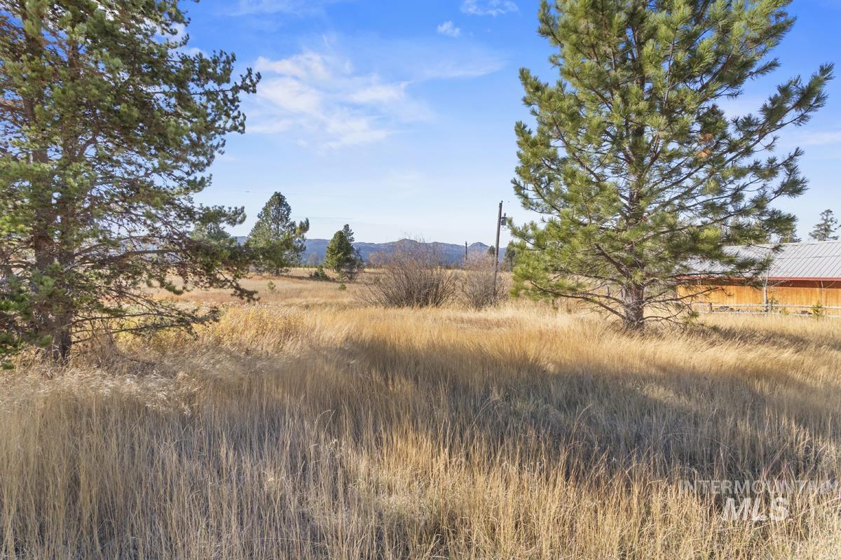 21 Willow Way, Cascade, Idaho 83611, 3 Bedrooms, 2 Bathrooms, Residential For Sale, Price $725,000, 99004428