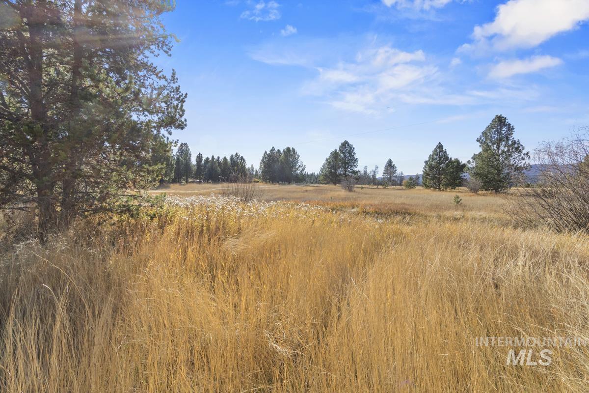 21 Willow Way, Cascade, Idaho 83611, 3 Bedrooms, 2 Bathrooms, Residential For Sale, Price $725,000, 99004428